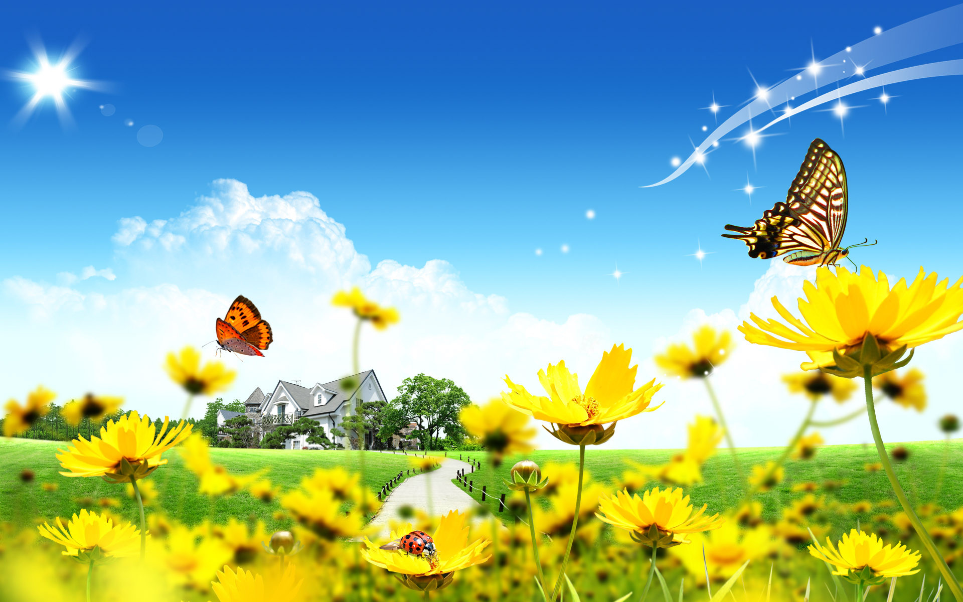 1920x1200 Sky Butterfly Desktop Backgrounds Free