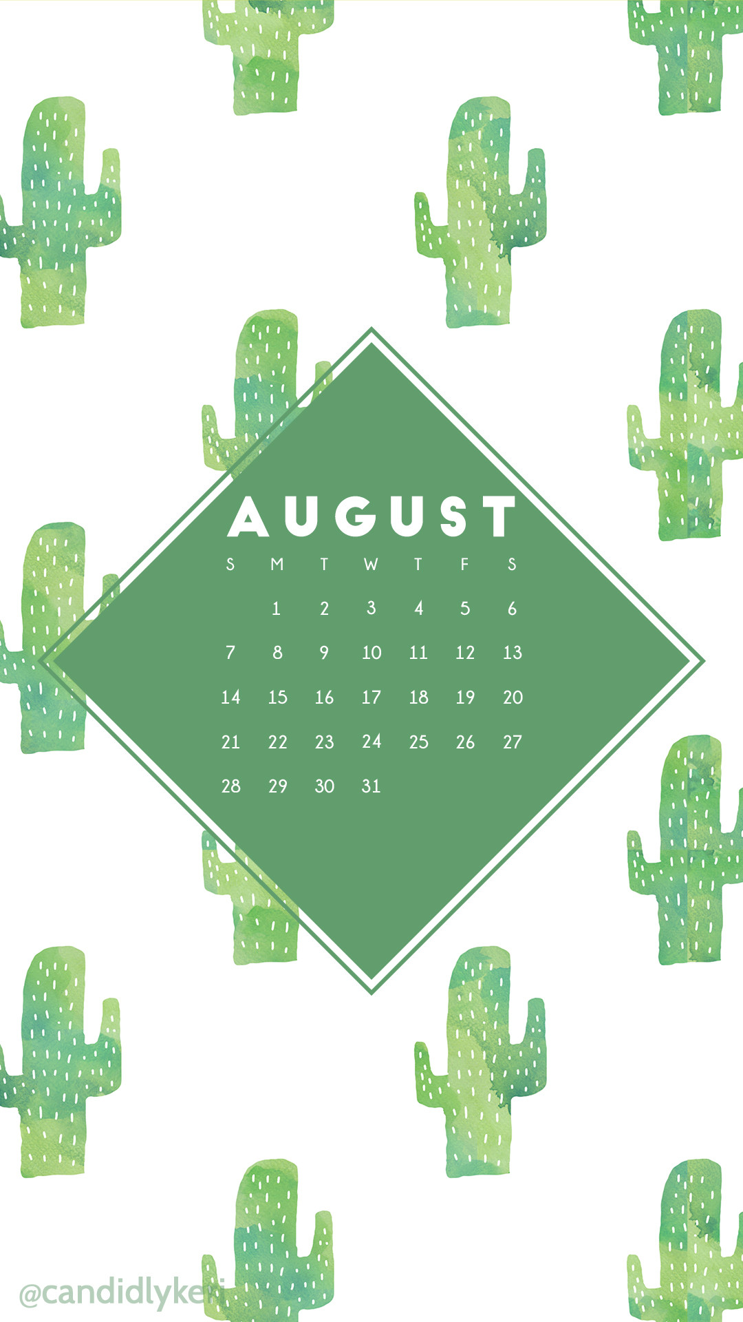 1080x1920 Cactus fun cacti green watercolor background August calendar 2016 wallpaper  you can download for free on