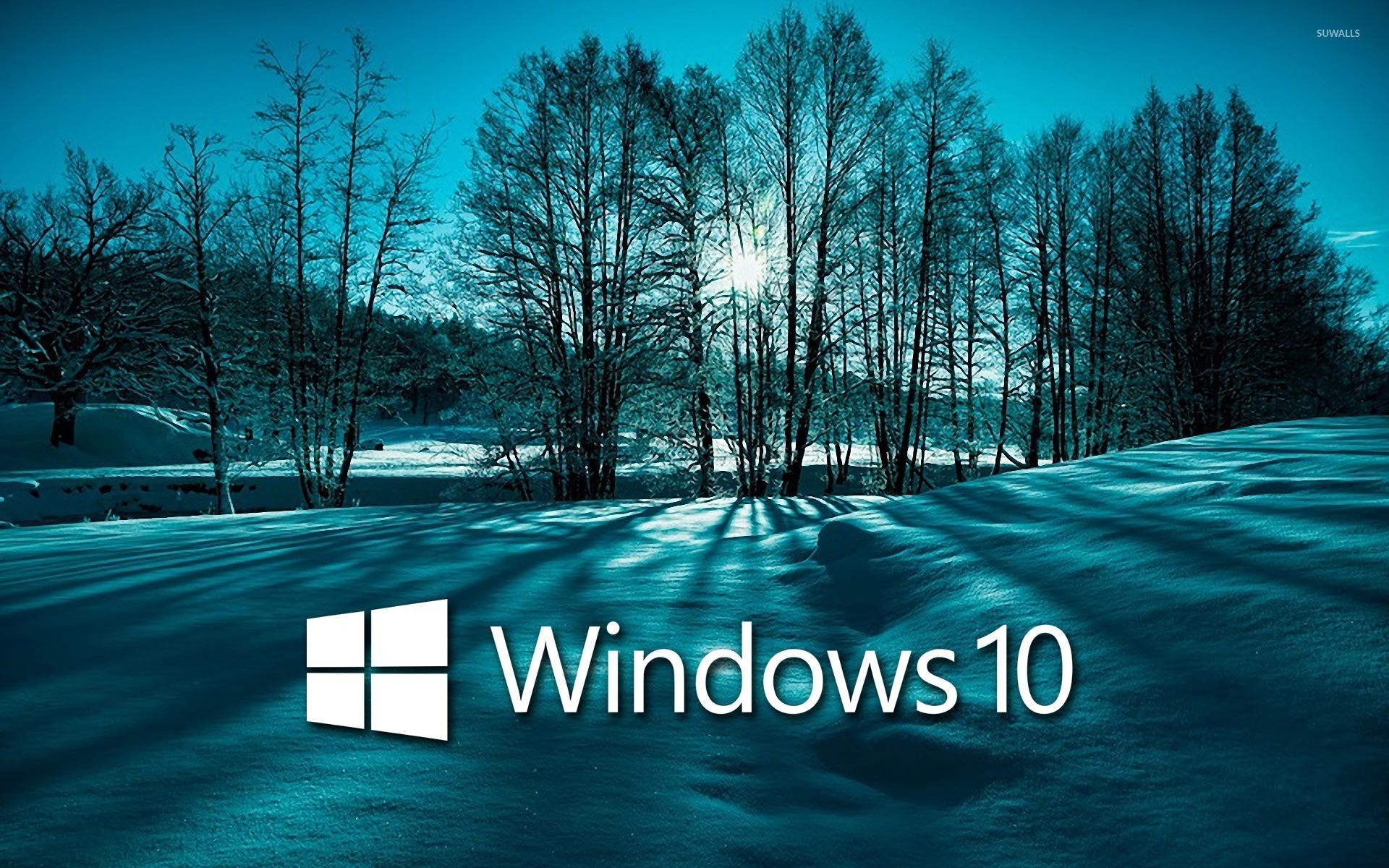 1920x1200 Windows 10 on snowy trees white text logo wallpaper