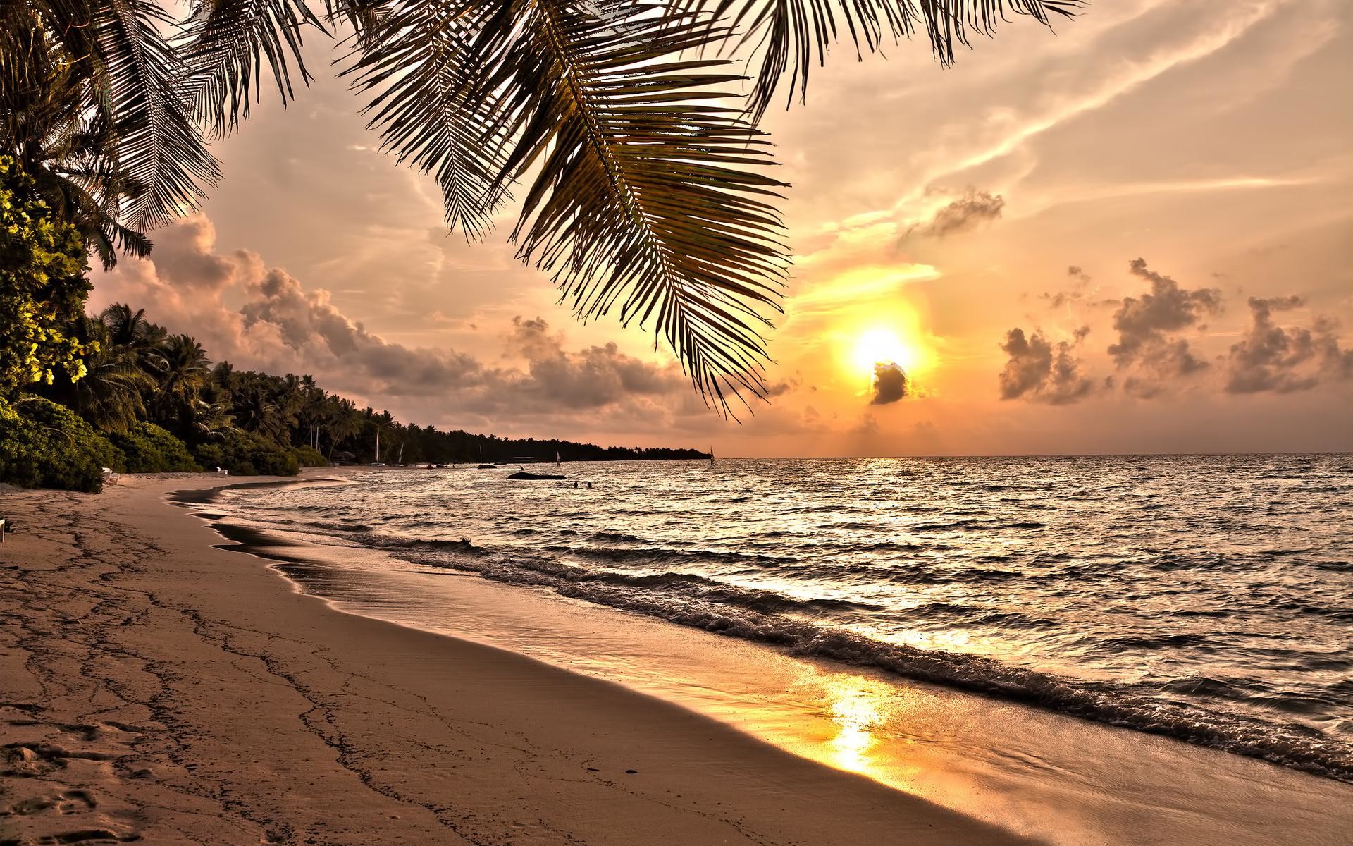 1920x1200 magnificent-sunset-over-tropical-beach-wallpaper-535f989c95808.jpg (