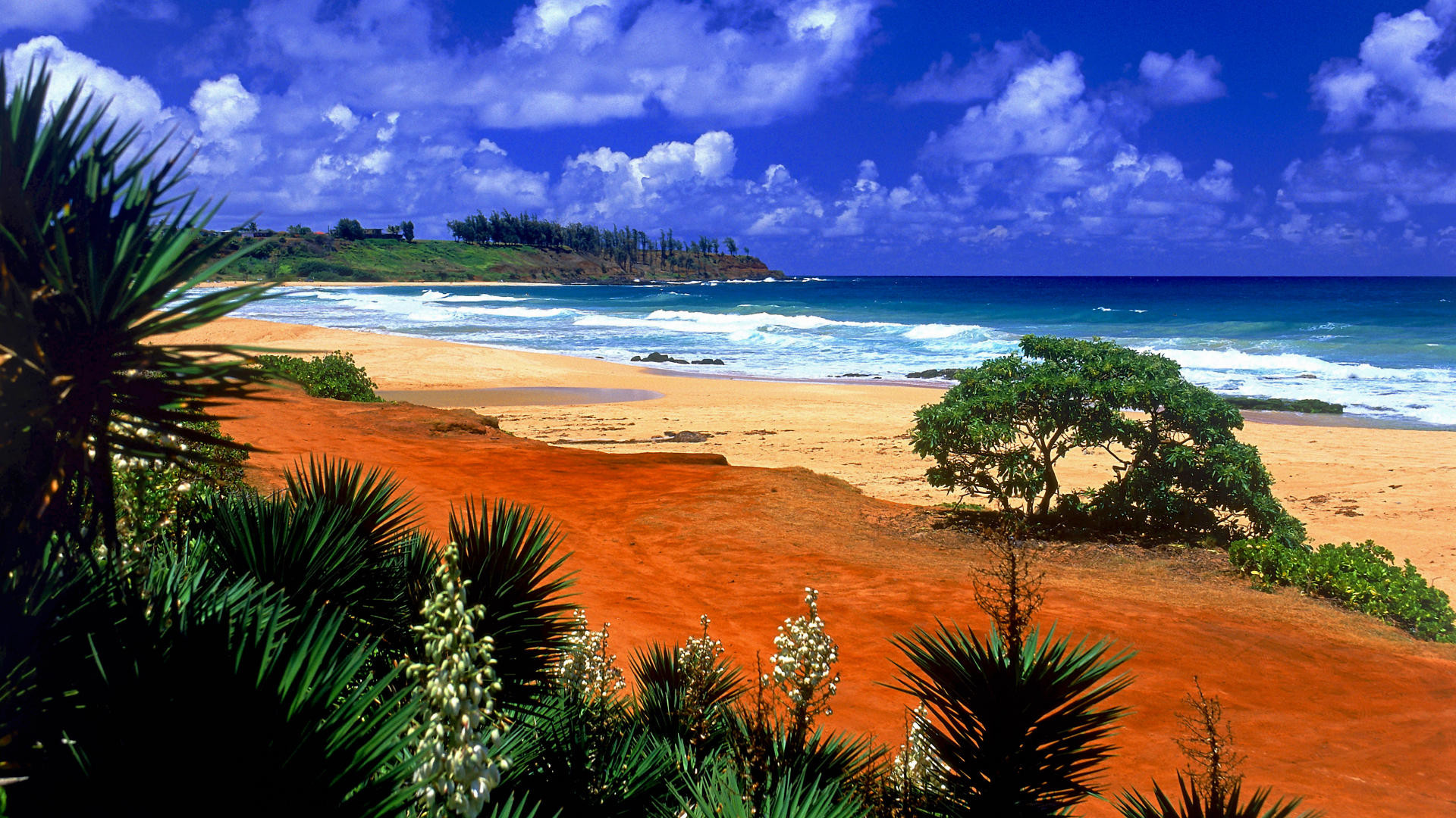 1920x1080 backgrounds, beach, desktop, hawaii, kealia, kauai