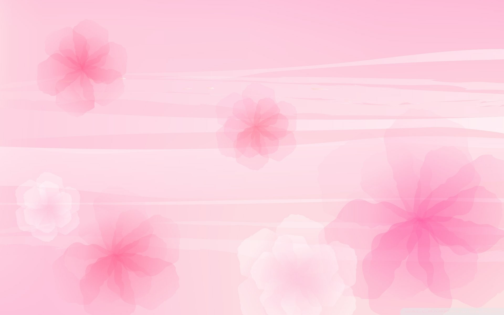 1920x1200 Pink Background Wallpaper