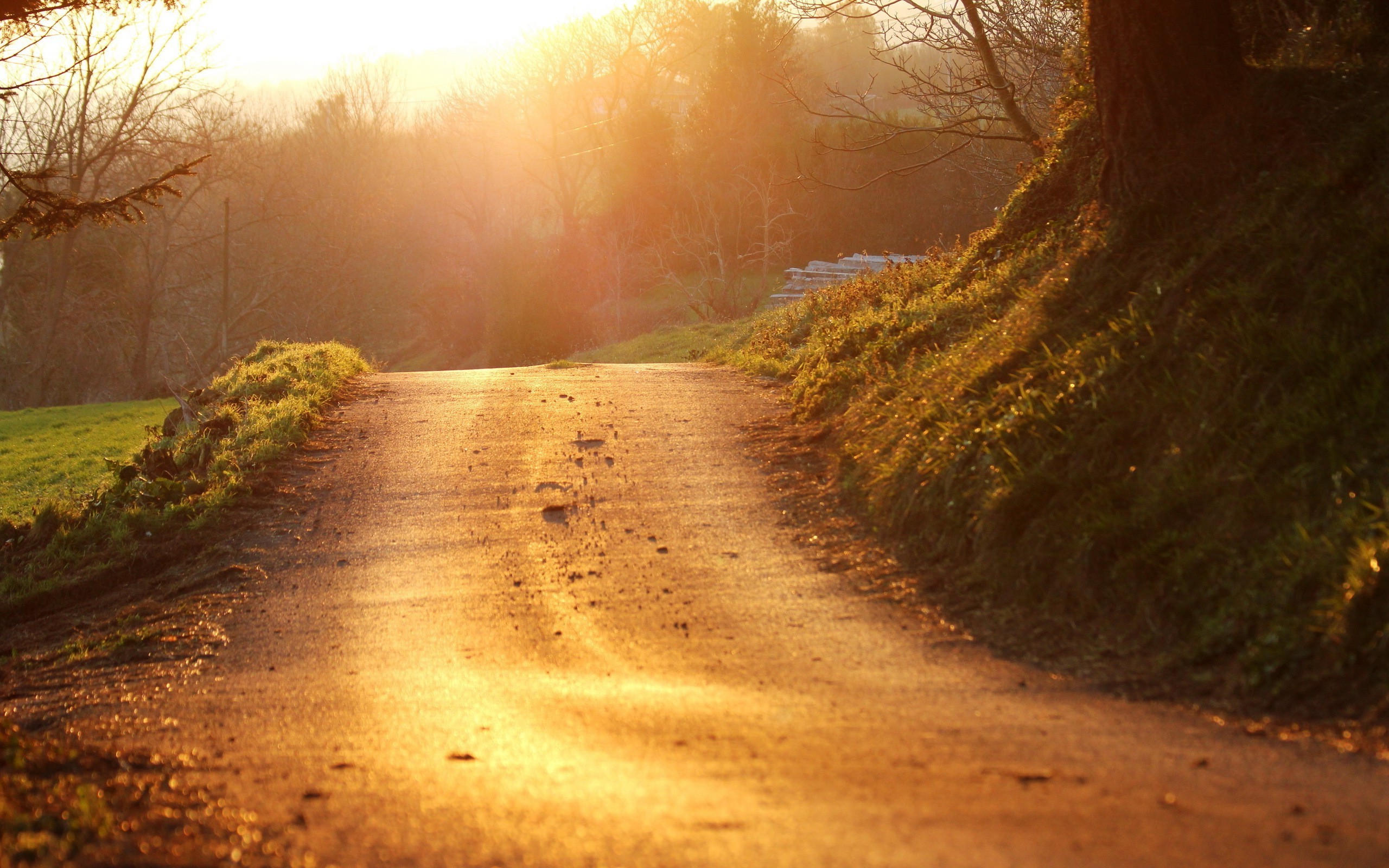 2560x1600 road, Landscape, Sunlight, Path, Nature Wallpapers HD / Desktop and Mobile  Backgrounds