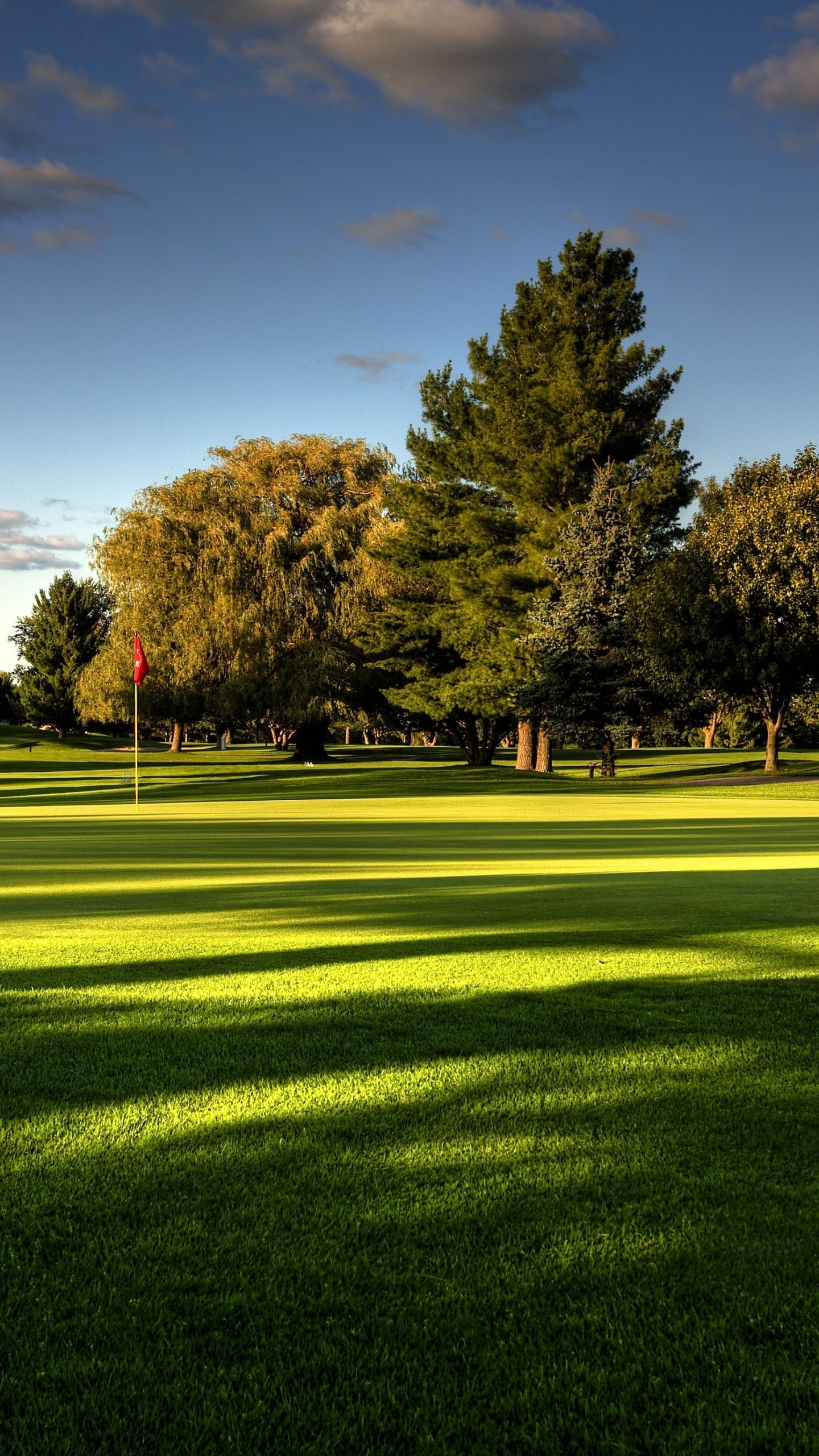 1440x2560  Wallpaper lawn, field, golf, trees