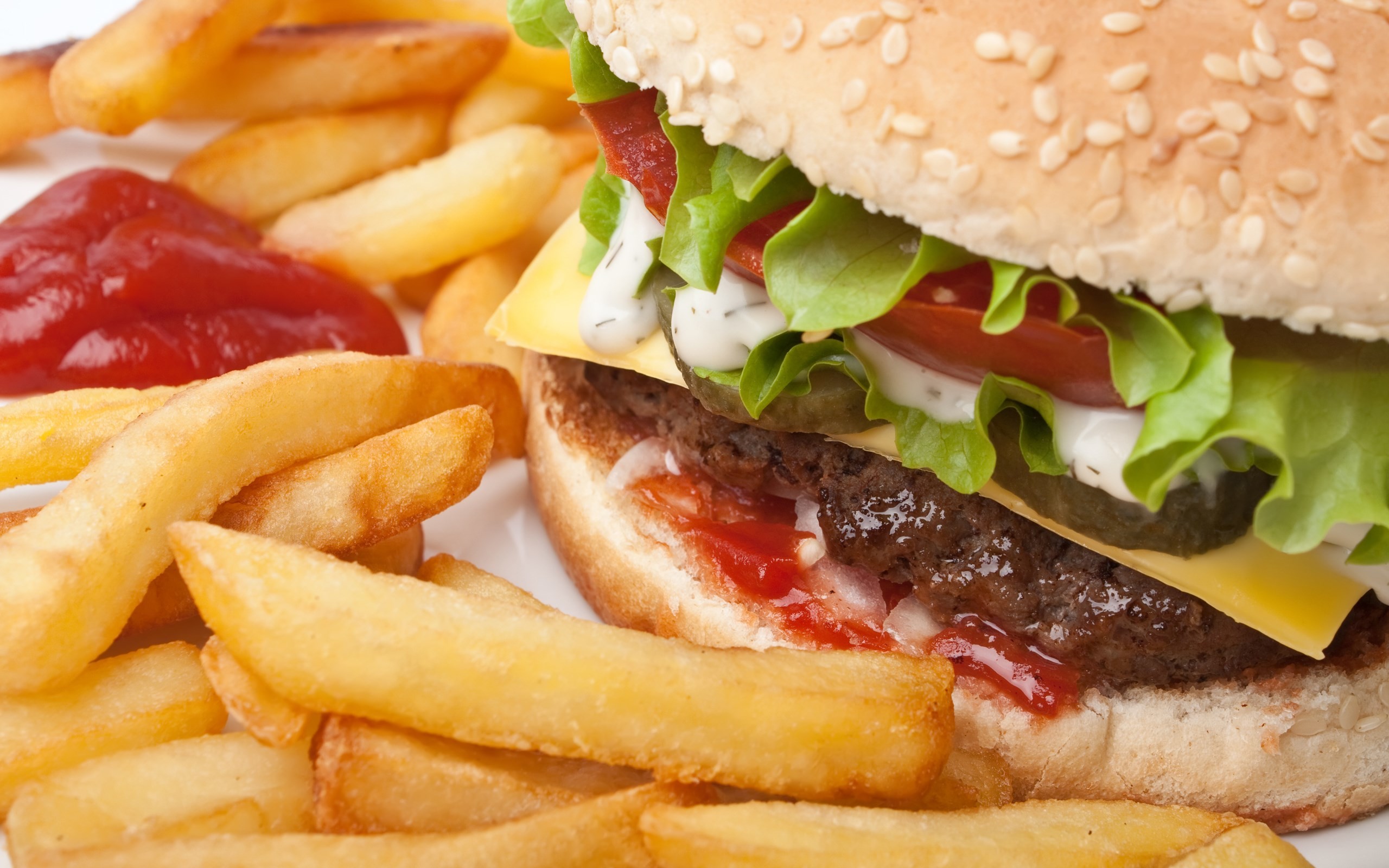 2560x1600 2017-03-03 - burger image: Wallpapers Collection, #1955528