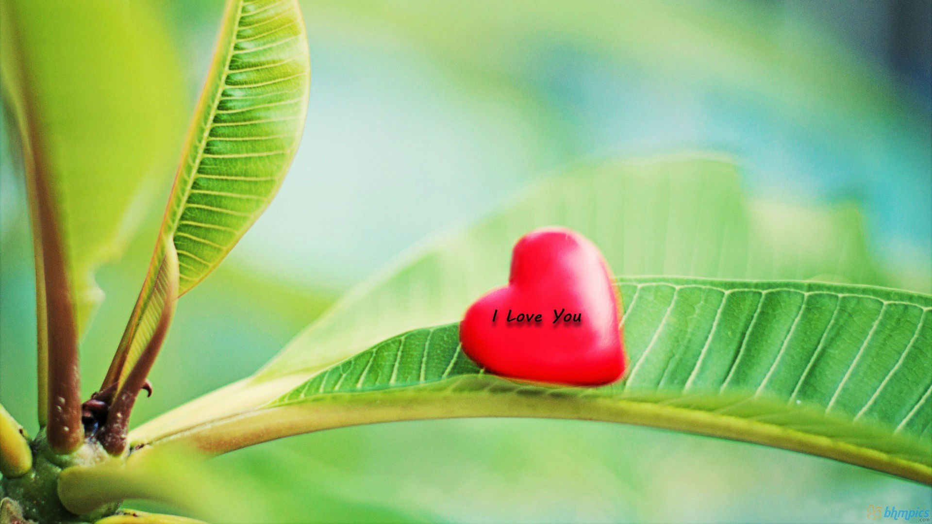 1920x1080 Cute Love Leaves Background Wallpapers