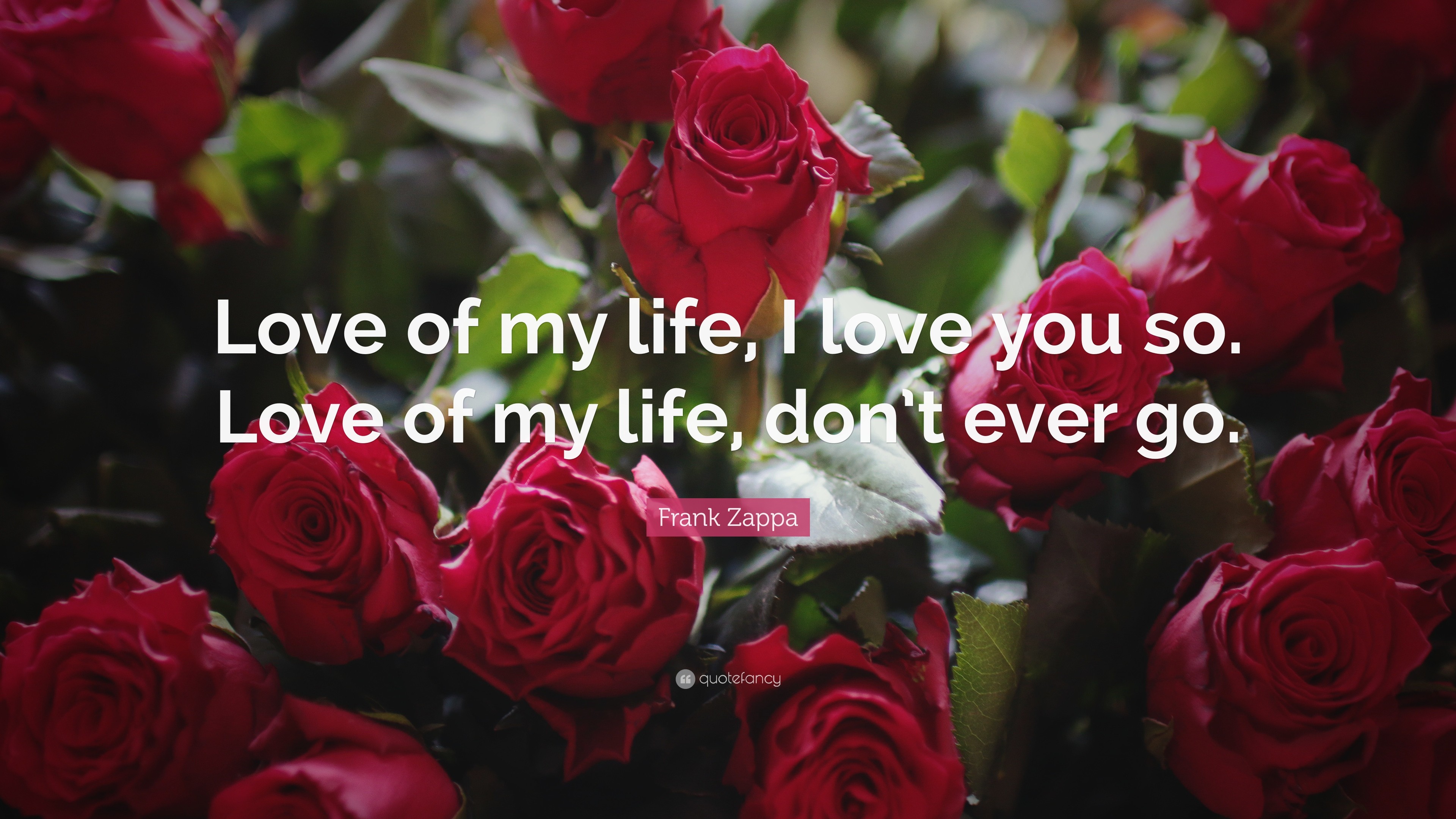 3840x2160 Love You Quotes: “Love of my life, I love you so. Love