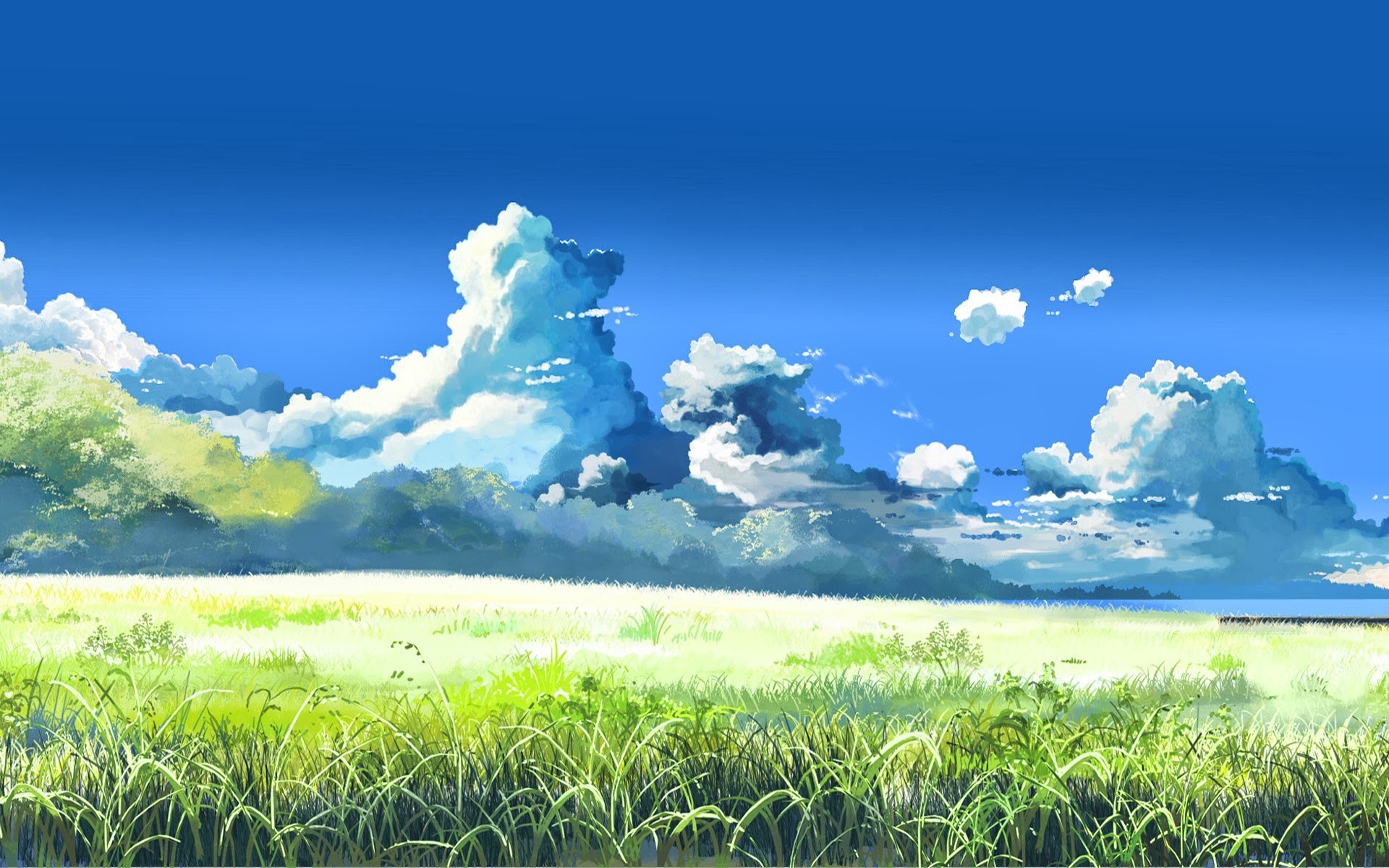 1920x1200 5 Centimeters Per Second, Makoto Shinkai, Field, Landscape, Clouds, Artwork  Wallpapers HD / Desktop and Mobile Backgrounds