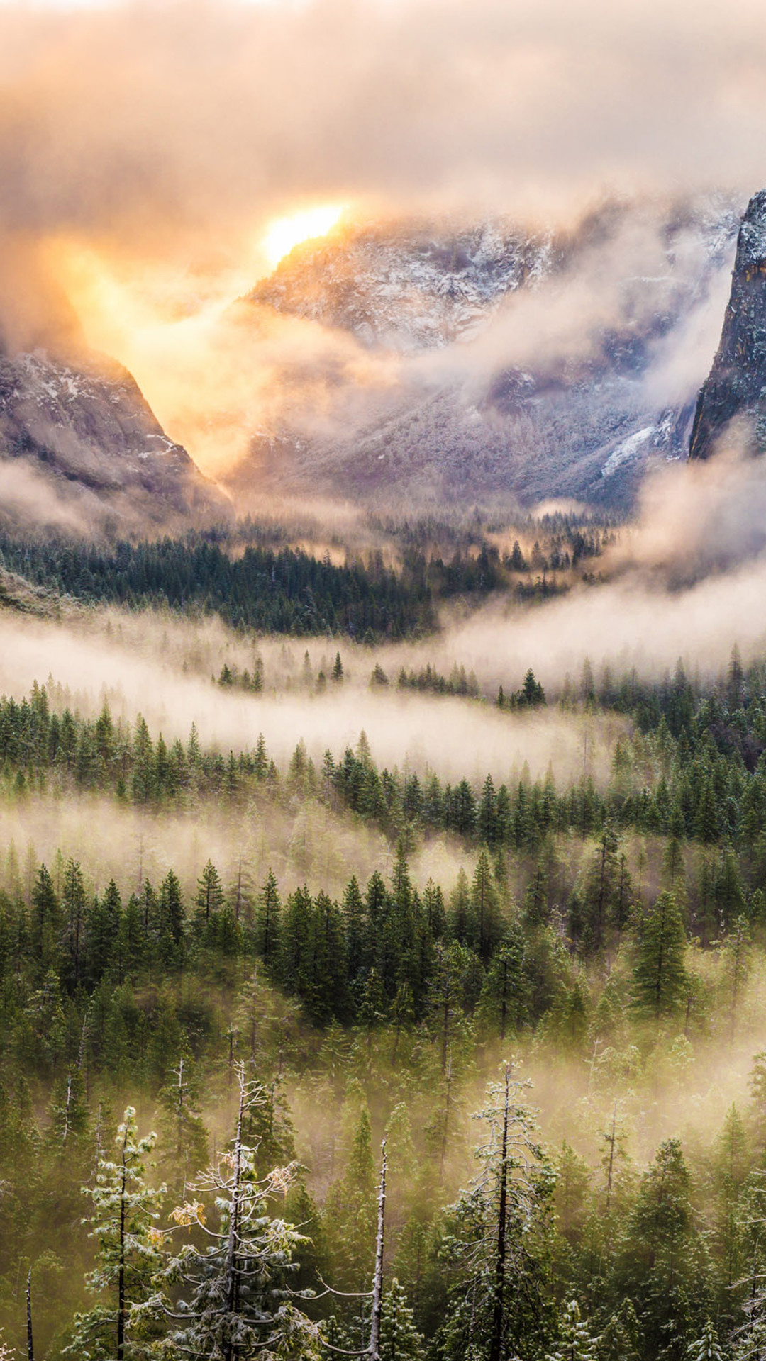 1080x1920 Foggy Forest Mountains Landscape iPhone 6 Wallpaper Download | iPhone .