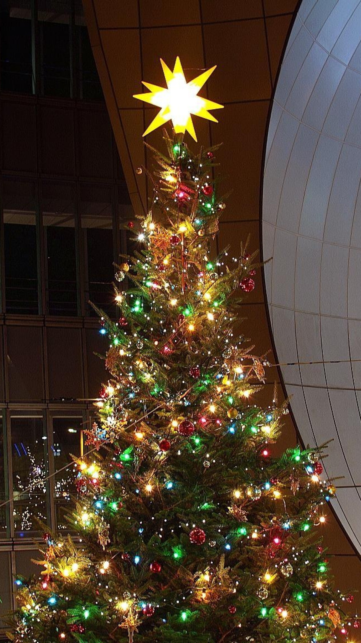 1440x2560  Wallpaper christmas tree, garland, building, star, new year,  christmas