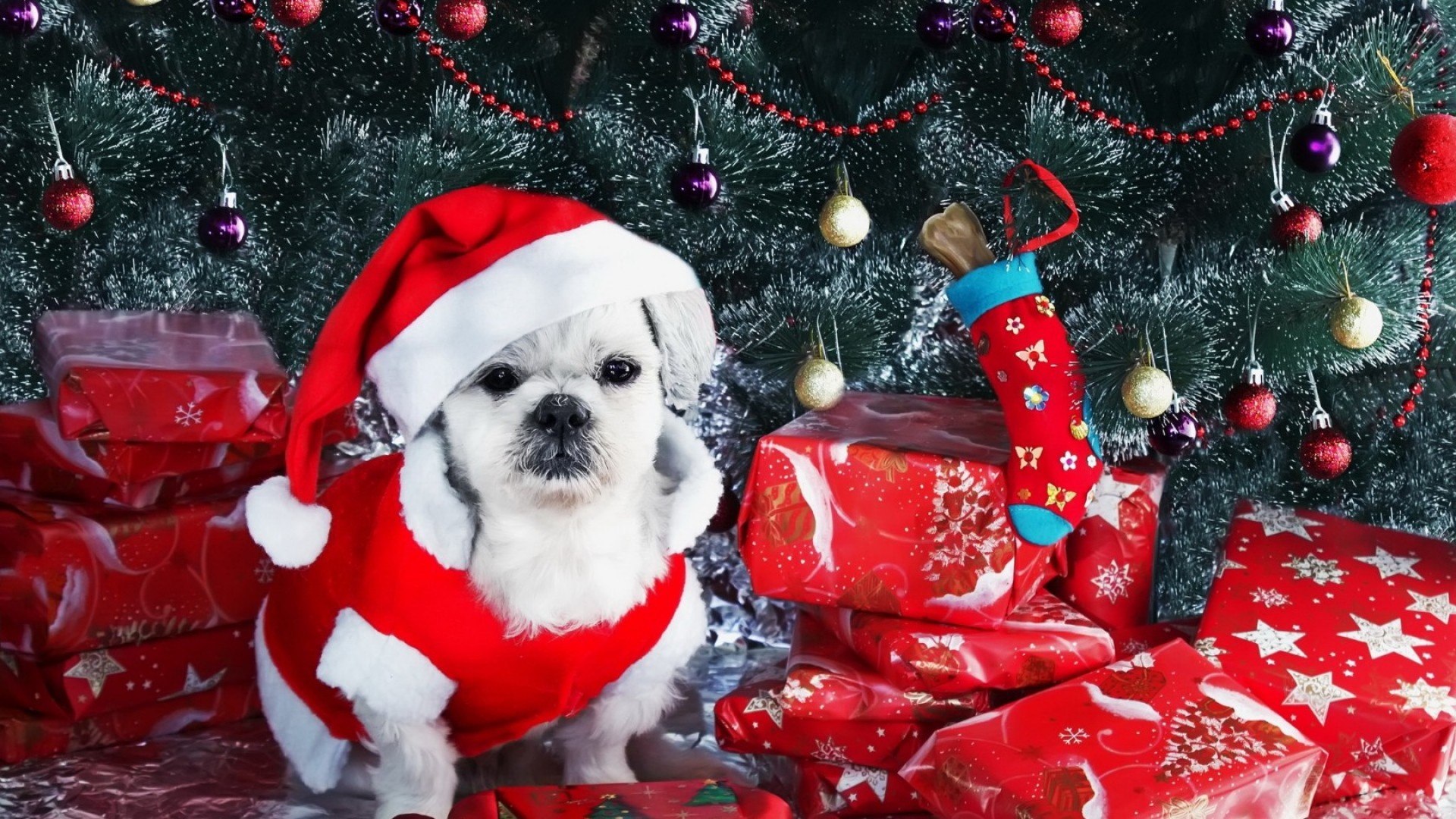1920x1080 Download 1920Ã1080 Dog, New year, Gifts, Christmas tree, Ornaments Wallpaper,  Background Full HD 1080p