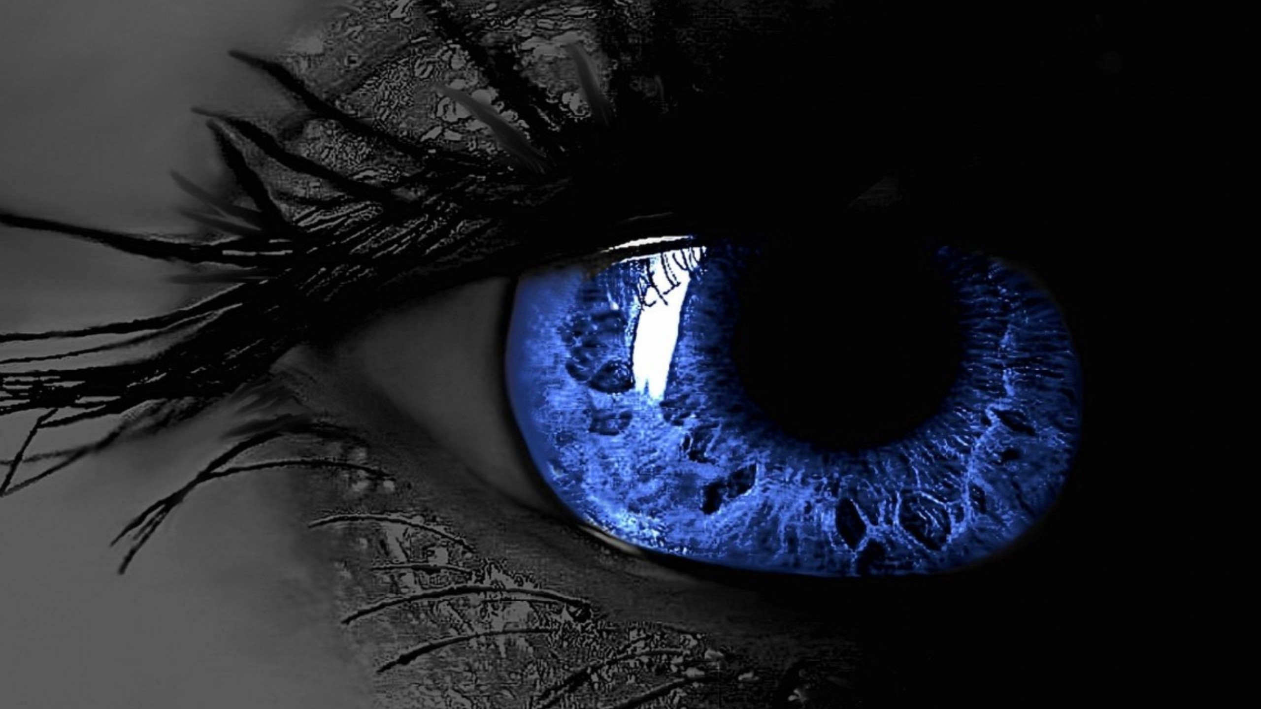 2560x1440 3D Blue Eye Desktop Wallpaper