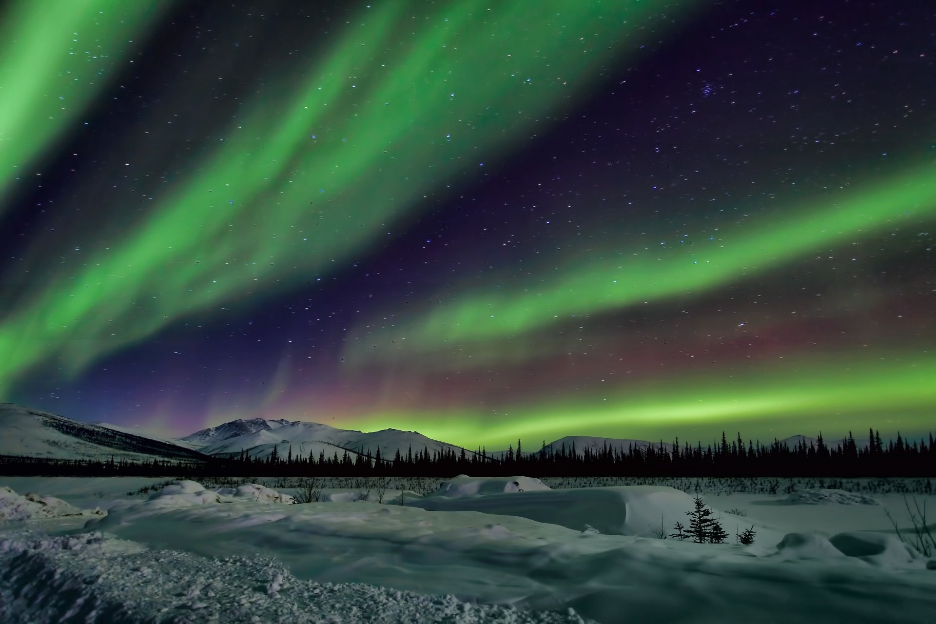 1920x1280 alaska northern lights landscape sky night star mountain tree snow