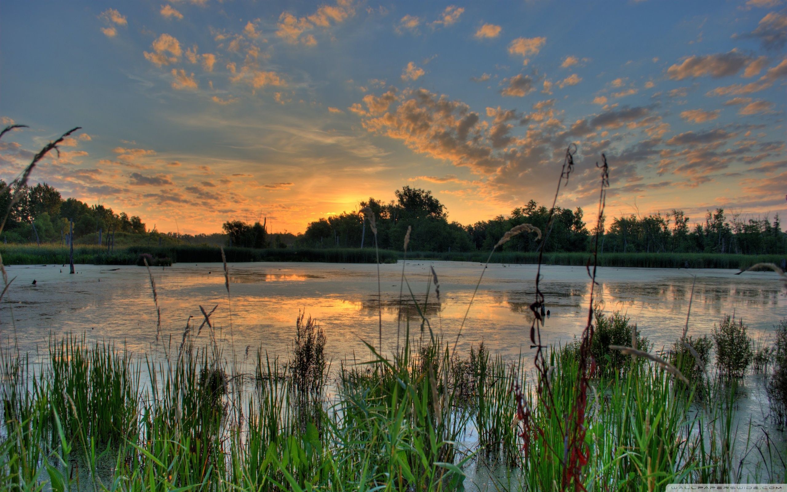 2560x1600  Sunrise Over a Pond in the Minnesota River National Wildlife  Refuge .