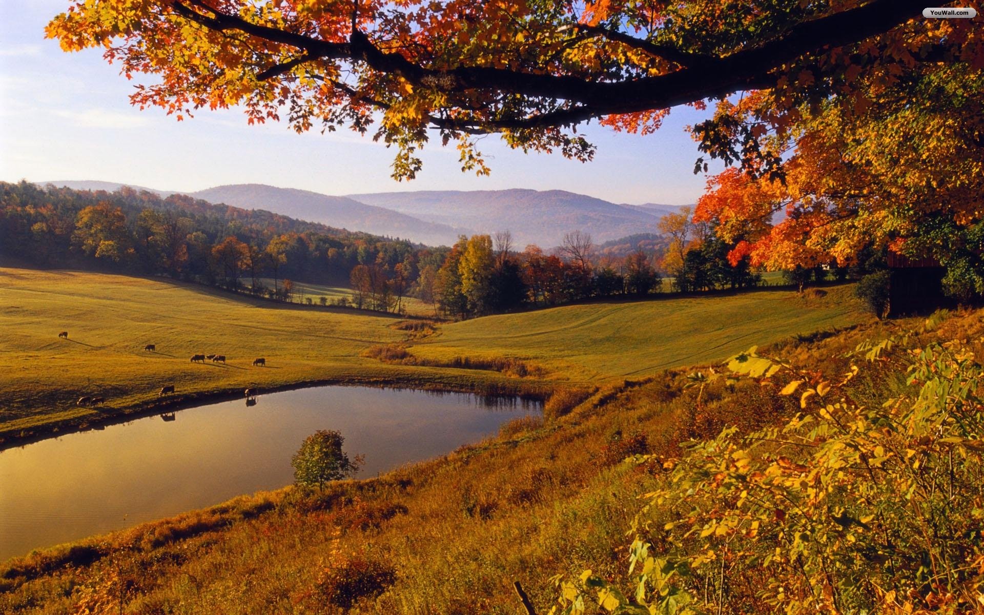1920x1200 Autumn Landscape Background