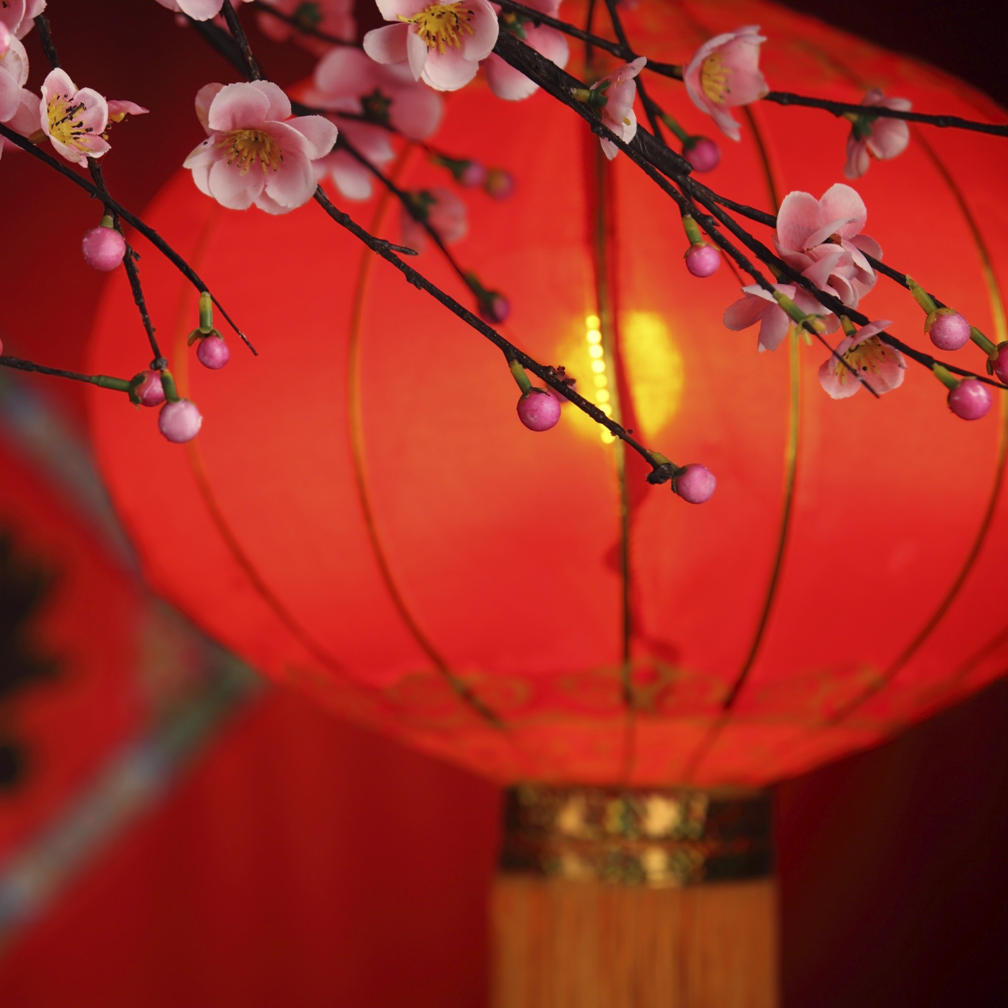 2048x2048 Chinese New Year Lantern. The Lantern Of Blessing. Happy Lunar Chinese New  Year 2016 Greetings for family and friends. Tap to see more wallpapers, ...