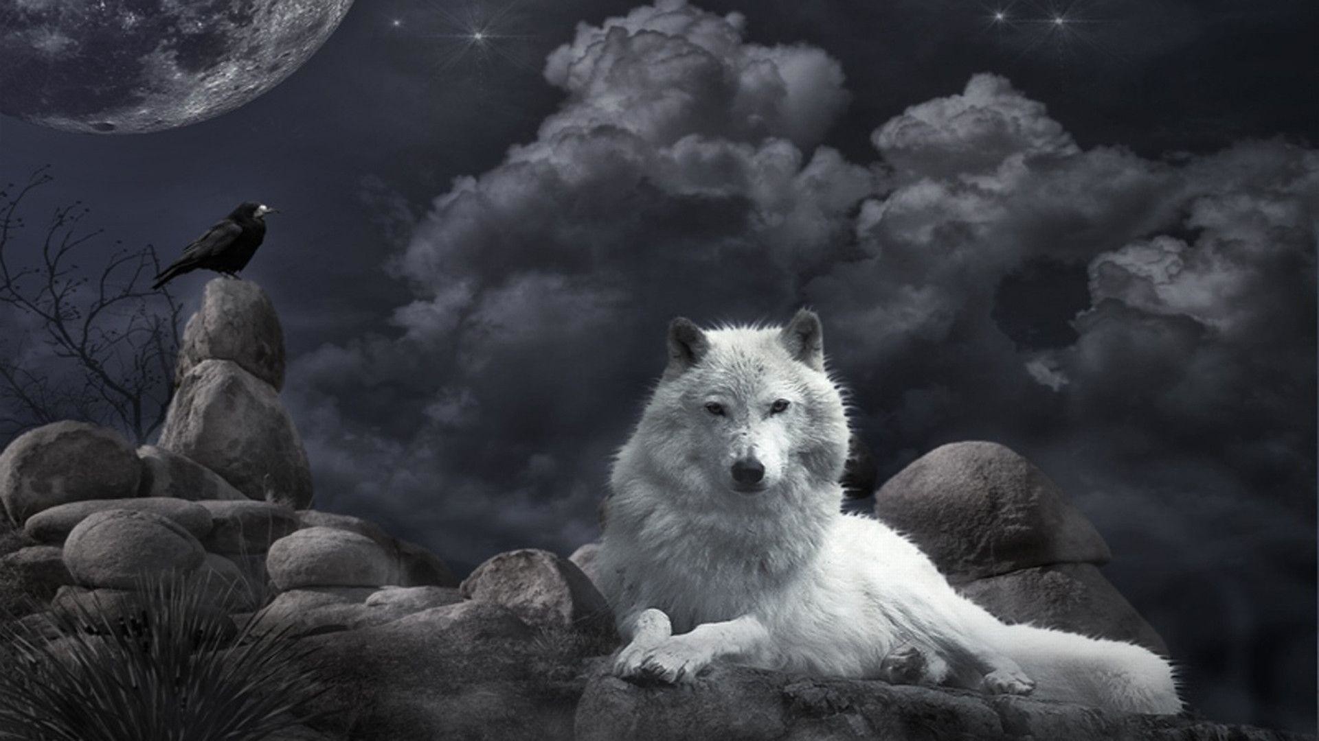 1920x1080 745 Wolf Wallpapers | Wolf Backgrounds