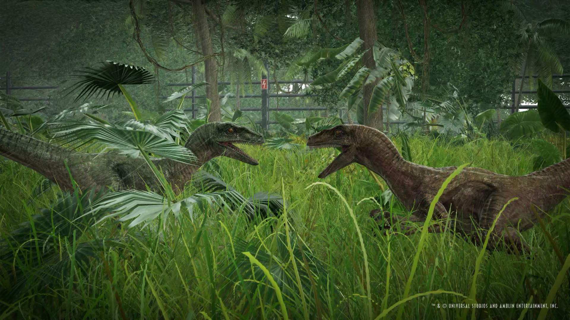 1920x1080 Pay attention to the dinosaur's needs