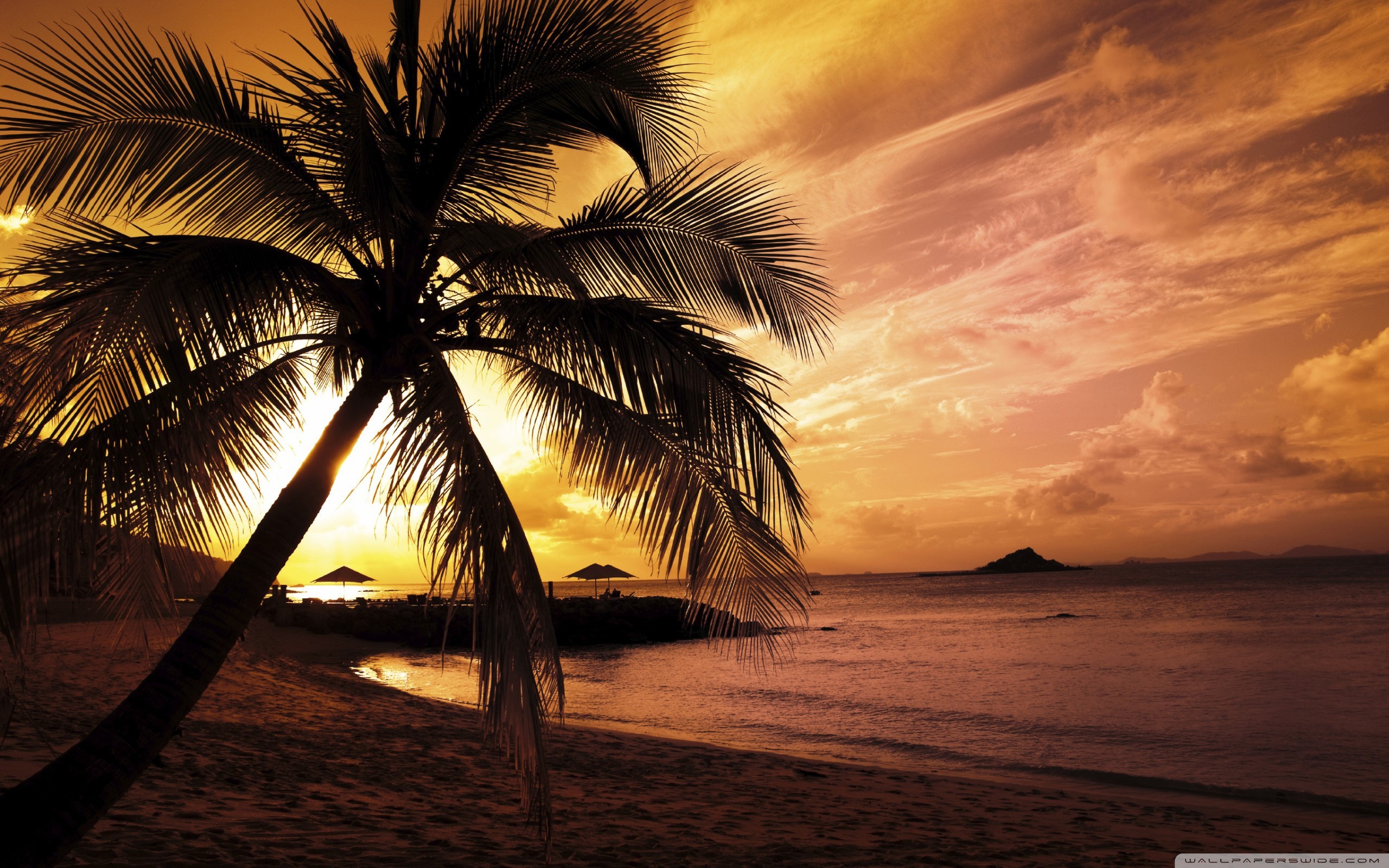 2560x1600 Tropical Island Beach Sunset