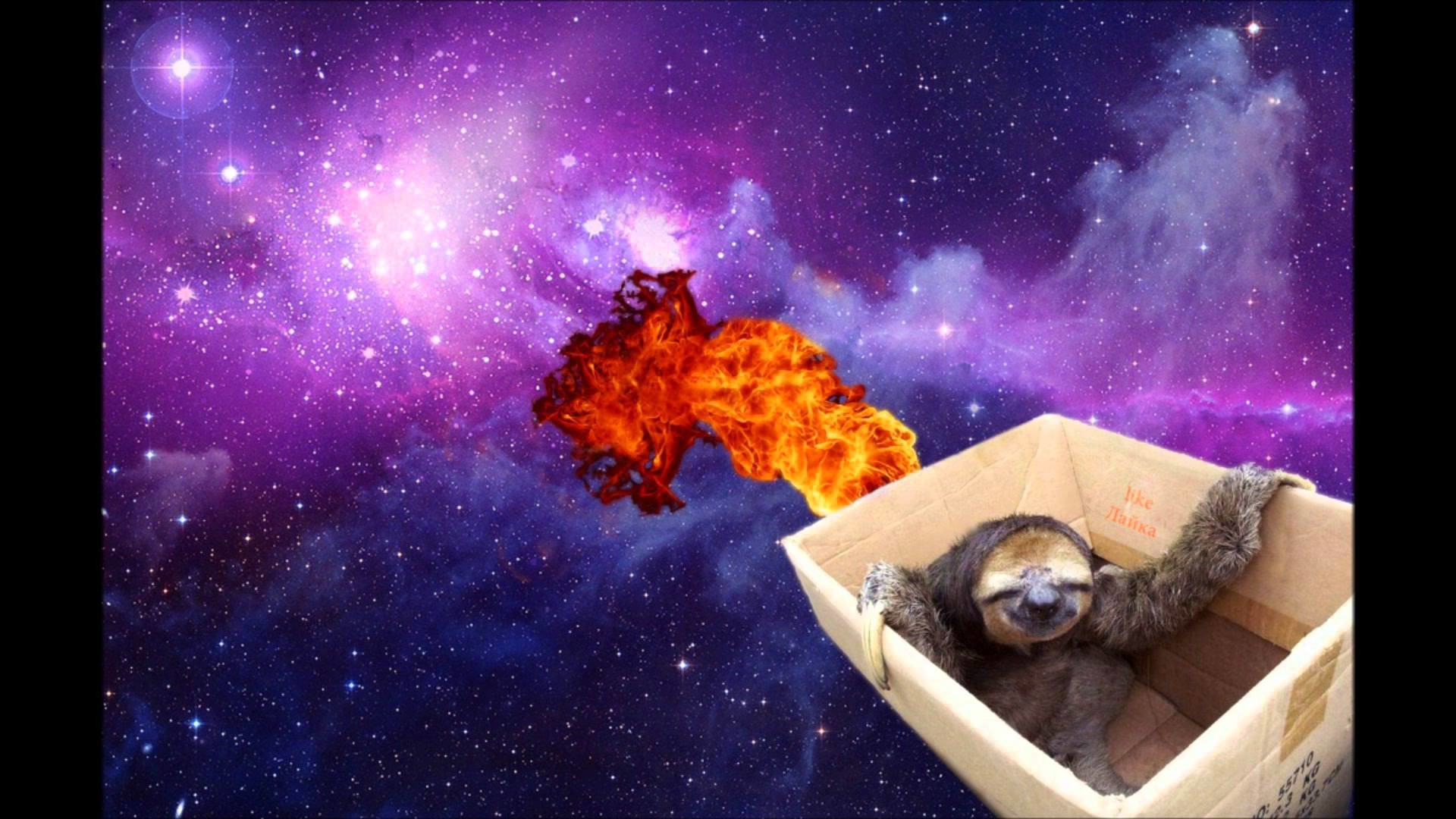 1920x1080 Images For > Space Sloth Wallpaper