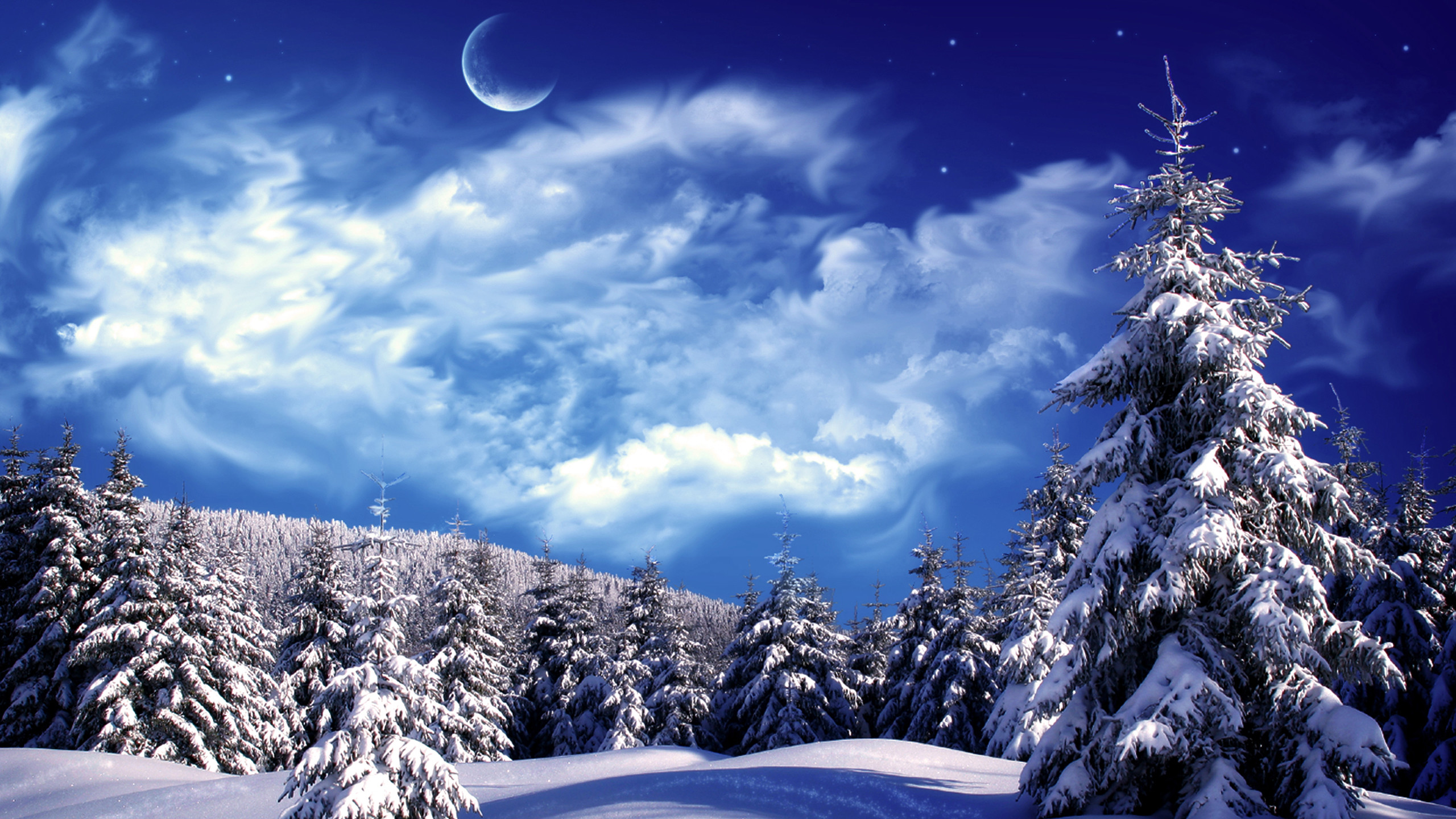 2560x1440 Winter And Snow Scenes | Wallpaper Bonzy