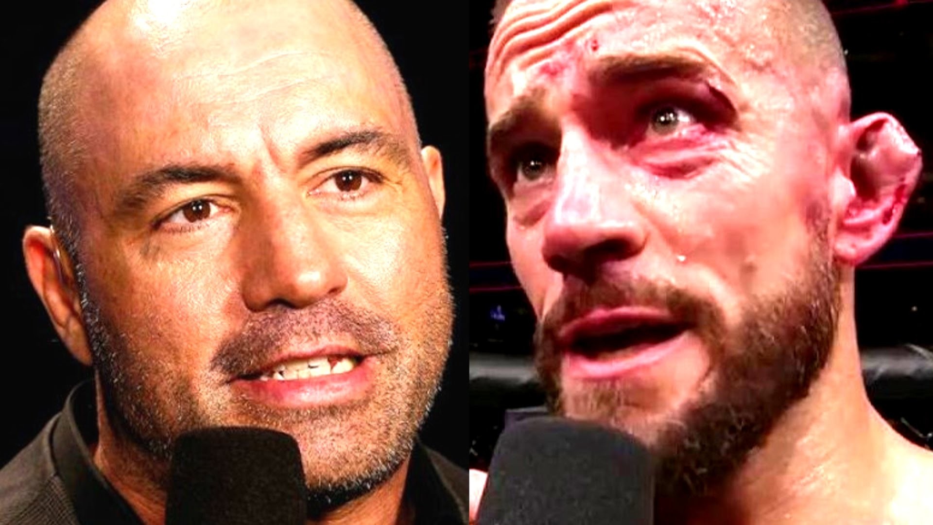 1920x1080 CM Punk is Delusional to think he can fight in UFC,I could Get cut from the  UFC-CM PUNK,203 Results - YouTube