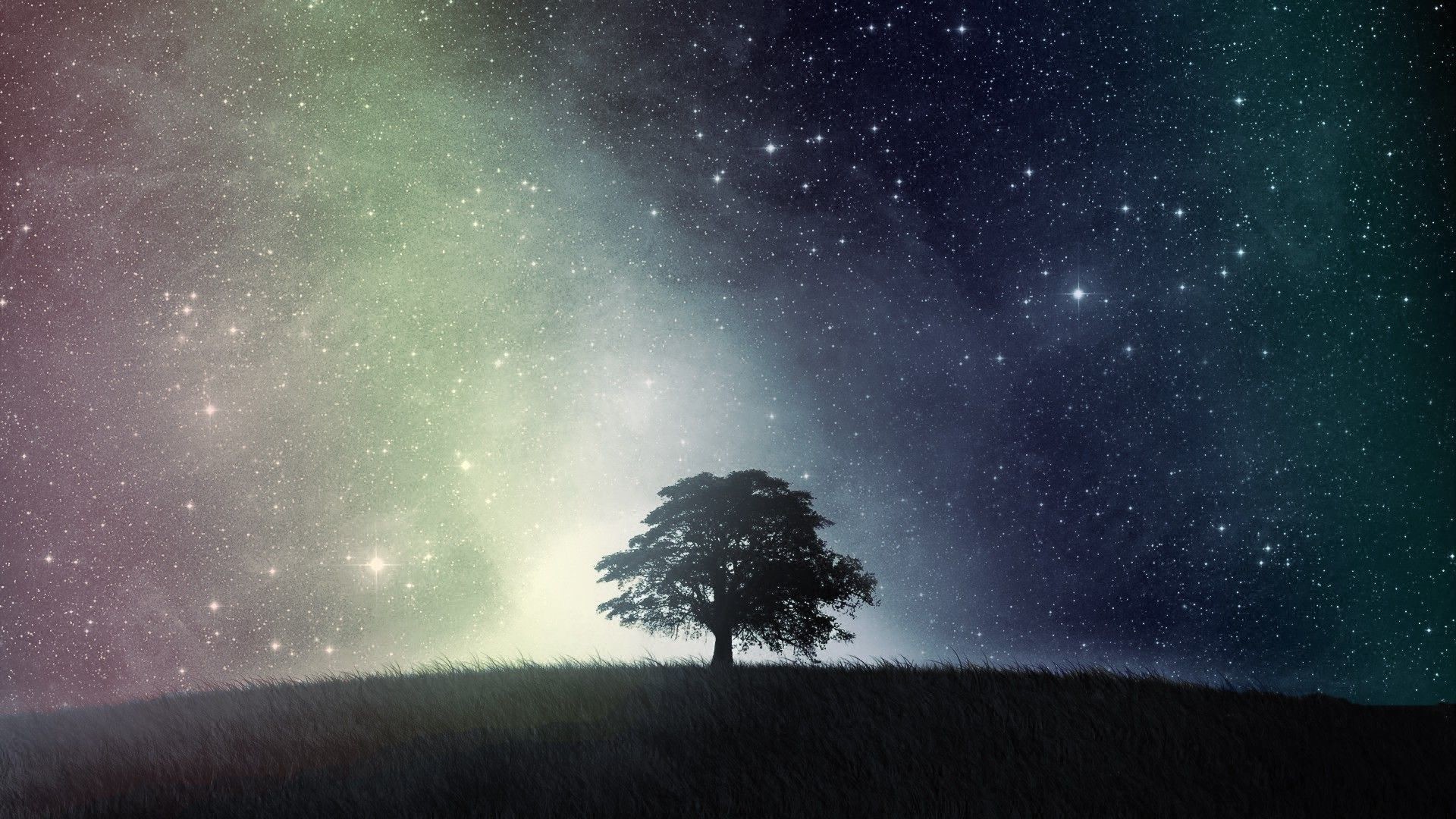 1920x1080 Top Sky Night Tree Starry Images for Pinterest