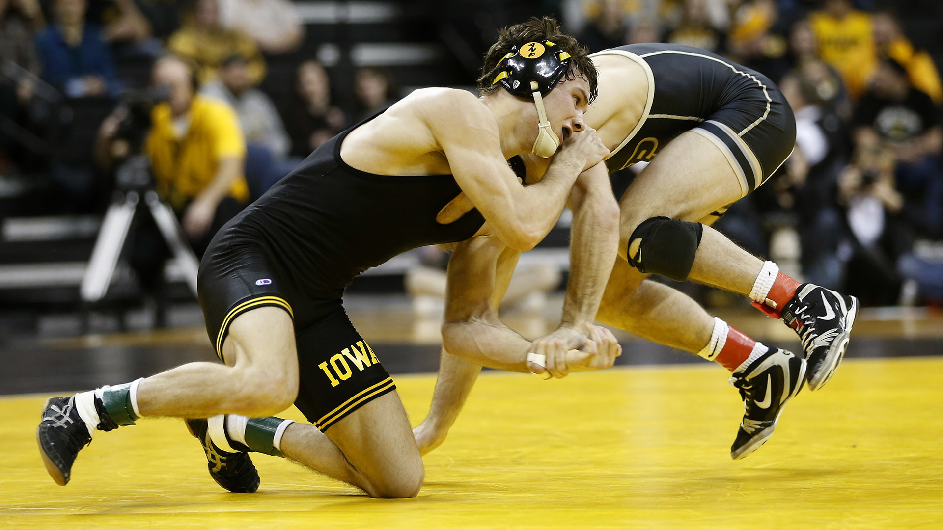 1920x1080 Iowa Dives in Against Division I Competition