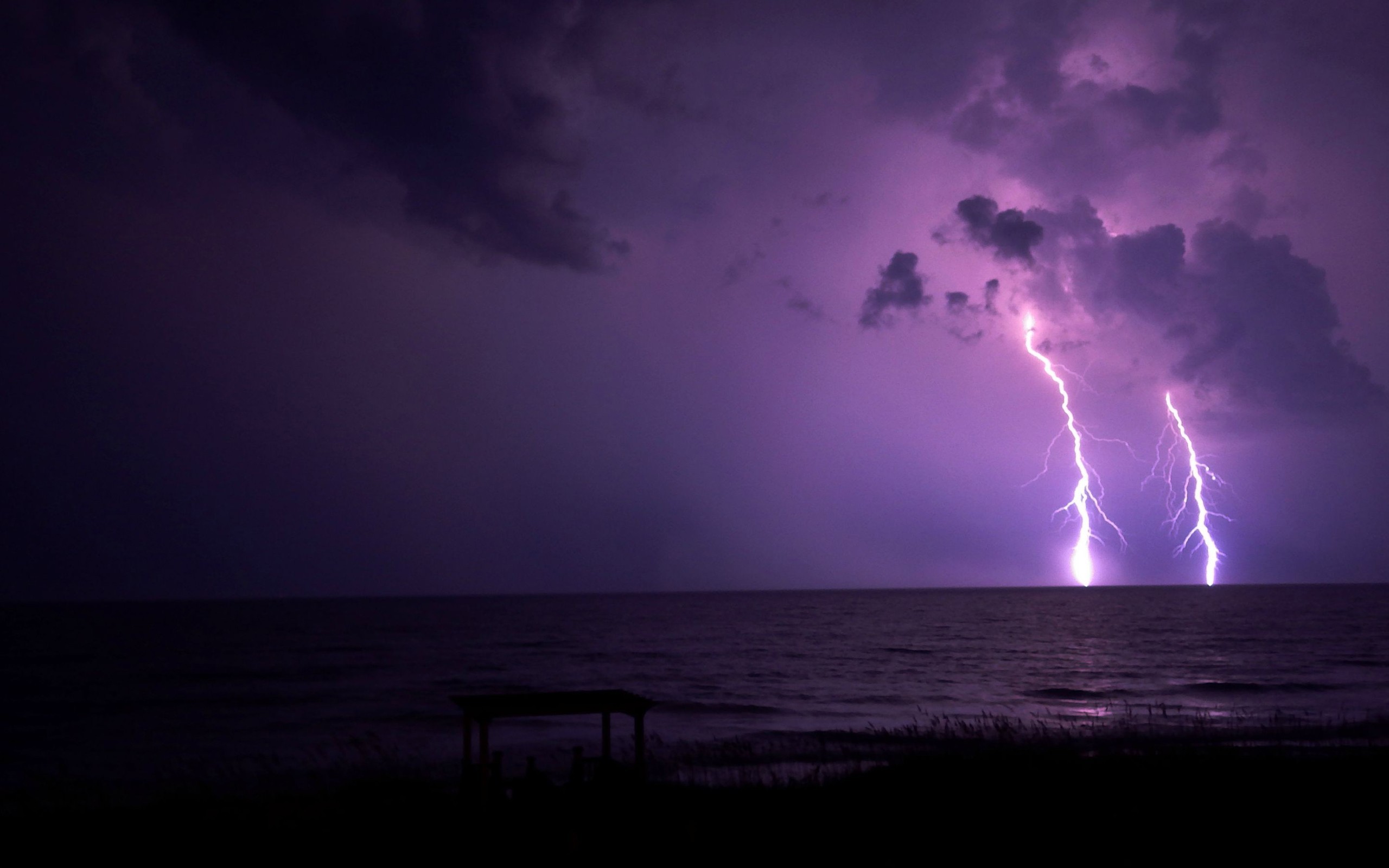 2560x1600 #silhouette, #purple, #nature, #night, #lightning, wallpaper