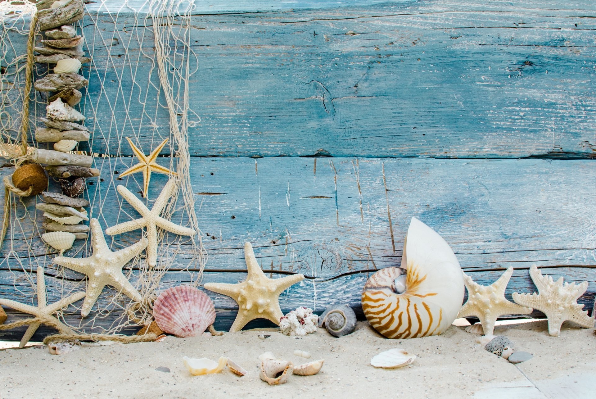 1920x1285 seashells starfishes beach sand marine wood shells star beach sand
