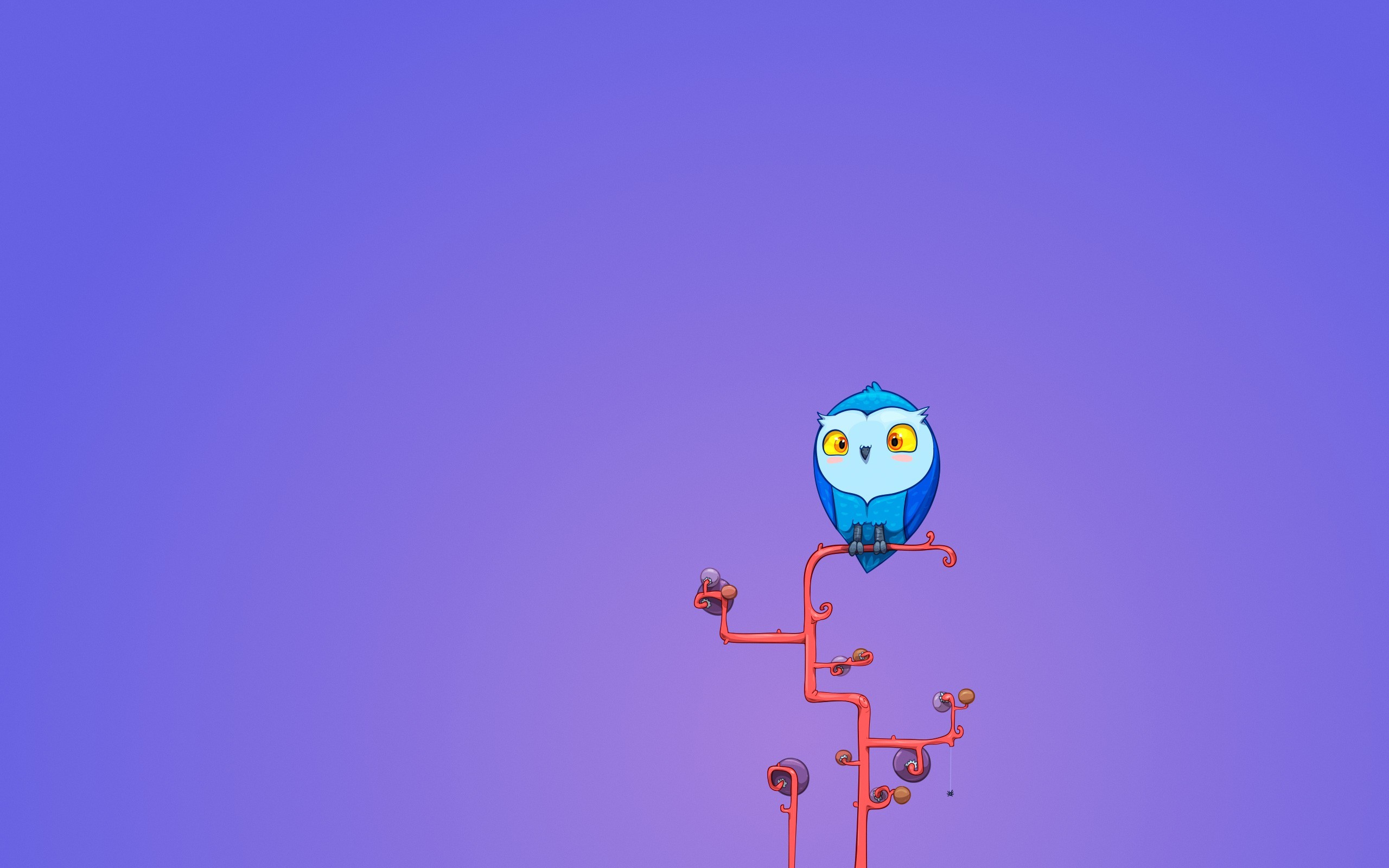 2560x1600 Free Owl Wallpapers - Wallpaper Cave ...