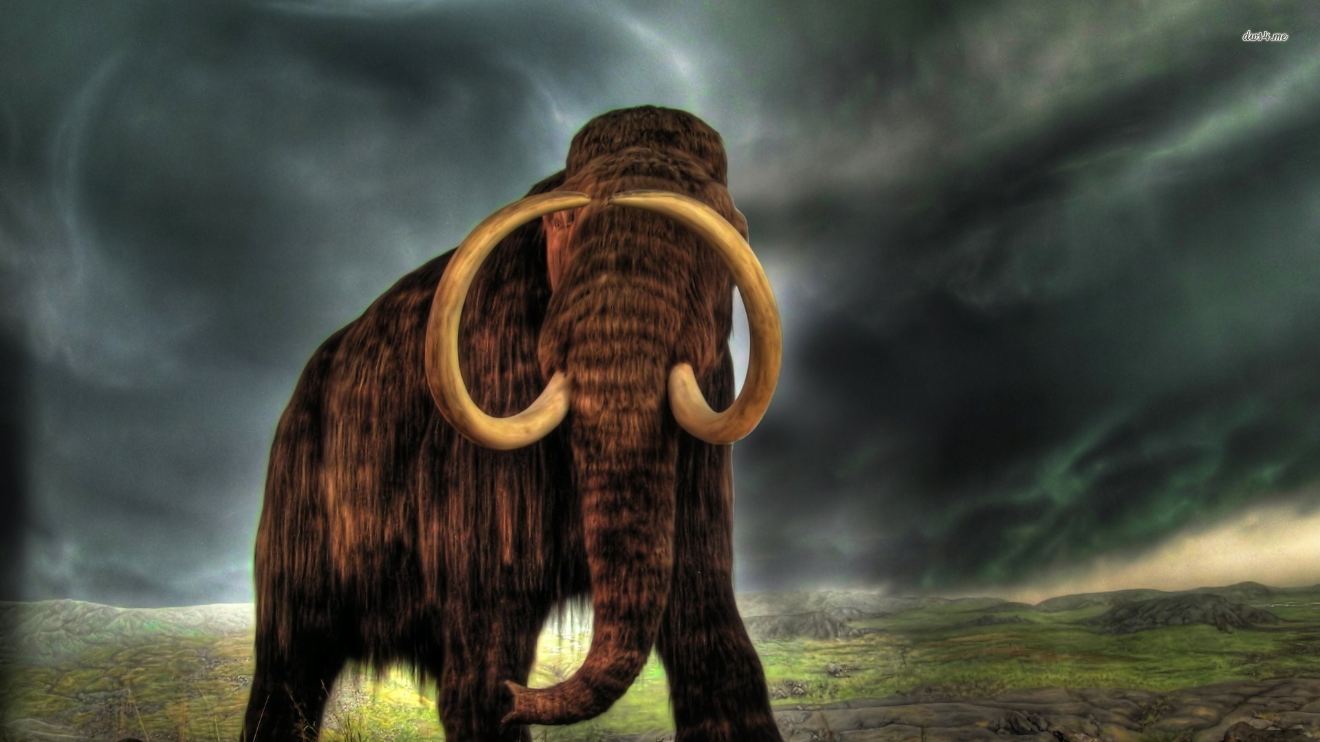 1920x1080 Ancient-Elephant--Need-iPhone-S-Plus-Background-