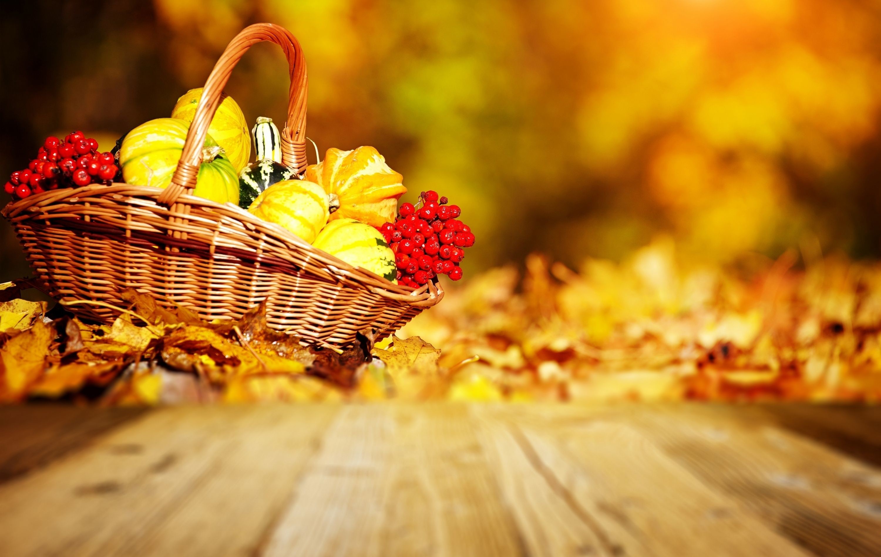3000x1897 Fall Harvest Wallpapers Picture