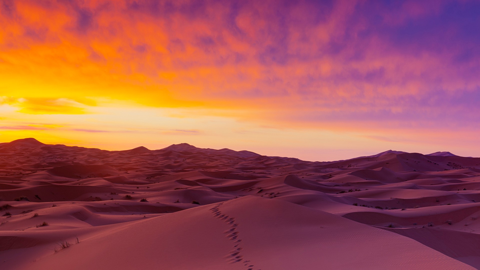 1920x1080 ... x 1080 Original. Description: Download Sahara Desert Sand Dunes Nature  & Landscape wallpaper ...