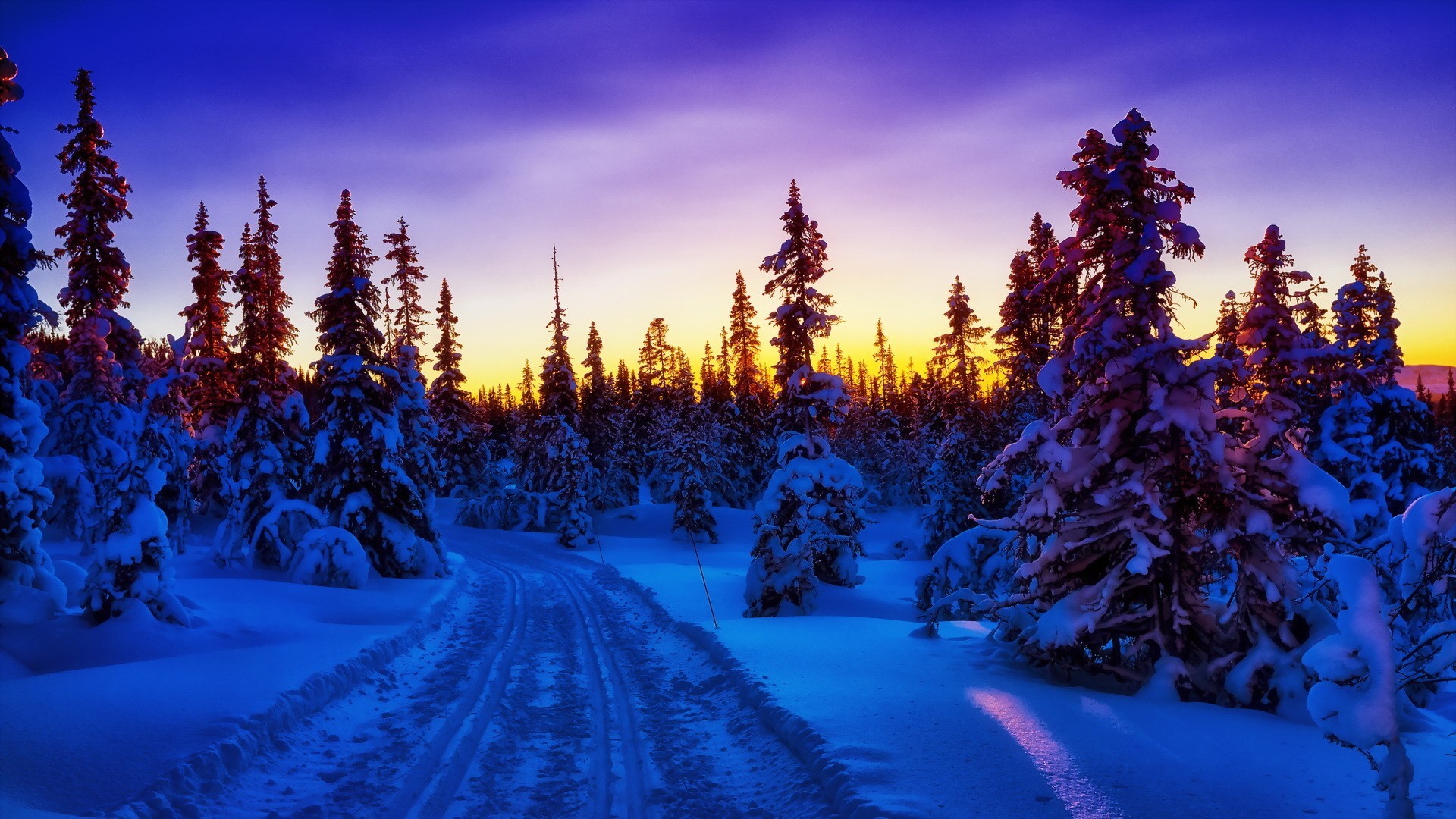 1920x1080 Forests - Winter Forest Fabulous Sunrise Road Blue Wallpaper Background for  HD 16:9 High