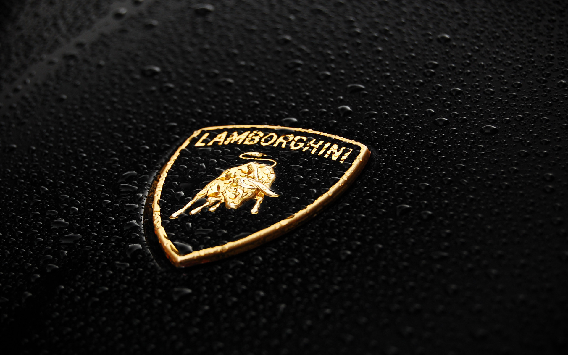 1920x1200 Lamborghini Logo