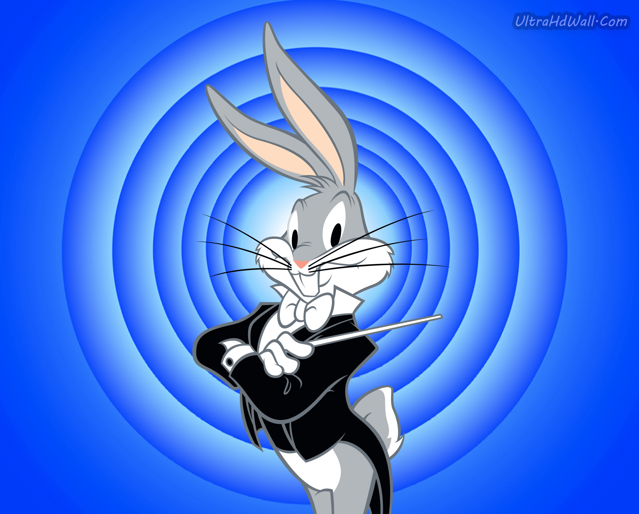 2241x1803 Bugs Bunny Wallpaper Looney Tunes