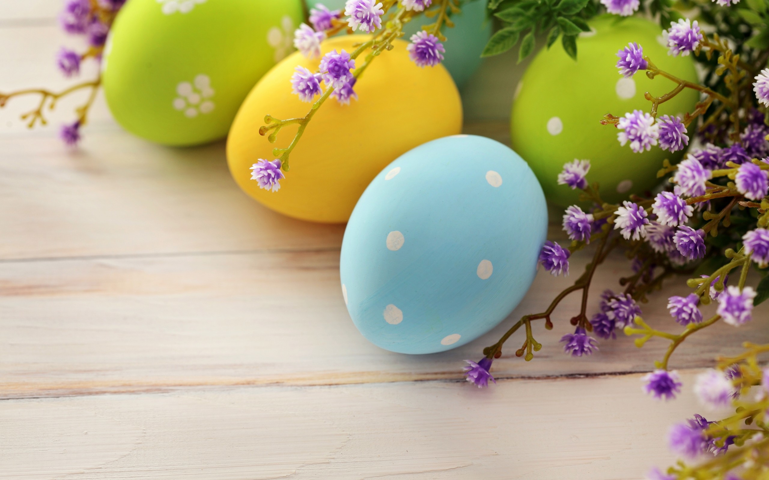 2560x1600 Spring Flowers And Easter Eggs