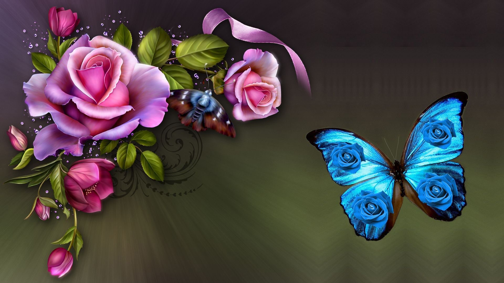 1920x1080 Romantica Rose Butterfly HD Desktop Background