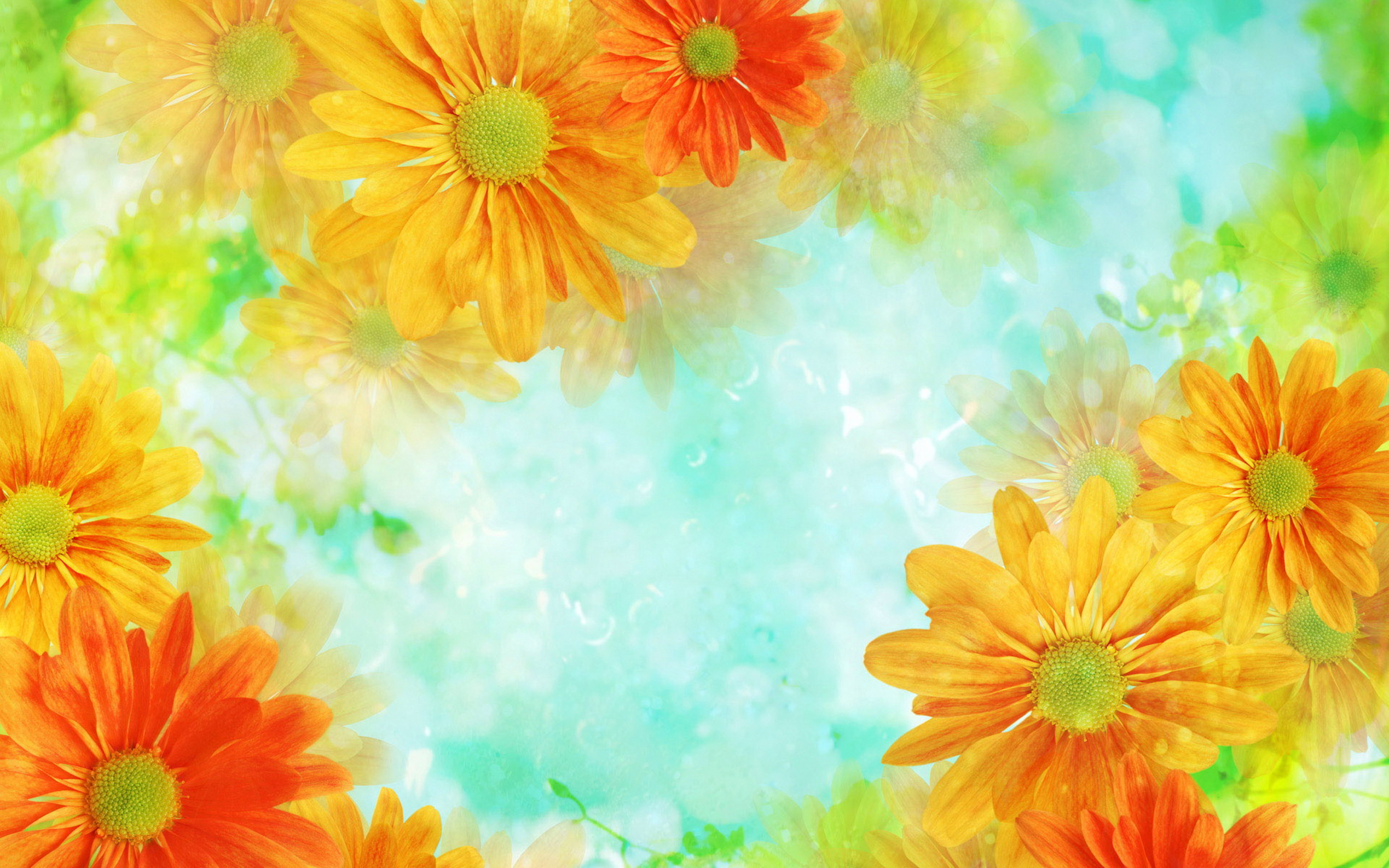 2880x1800 flowers background orange - HD Desktop Wallpapers | 4k HD