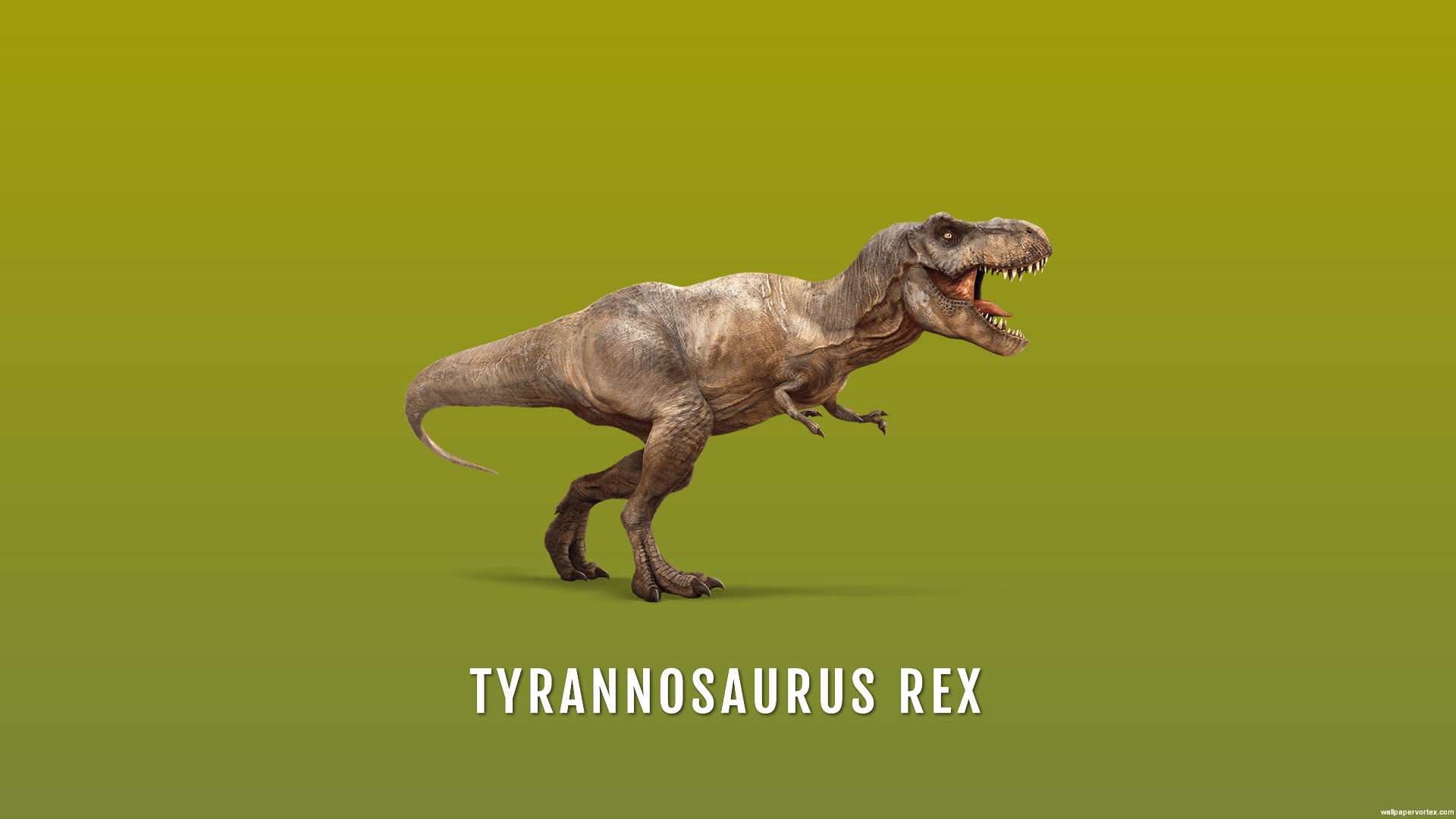 1920x1080 Tyrannosaurus Rex HD Wallpaper  ID53300