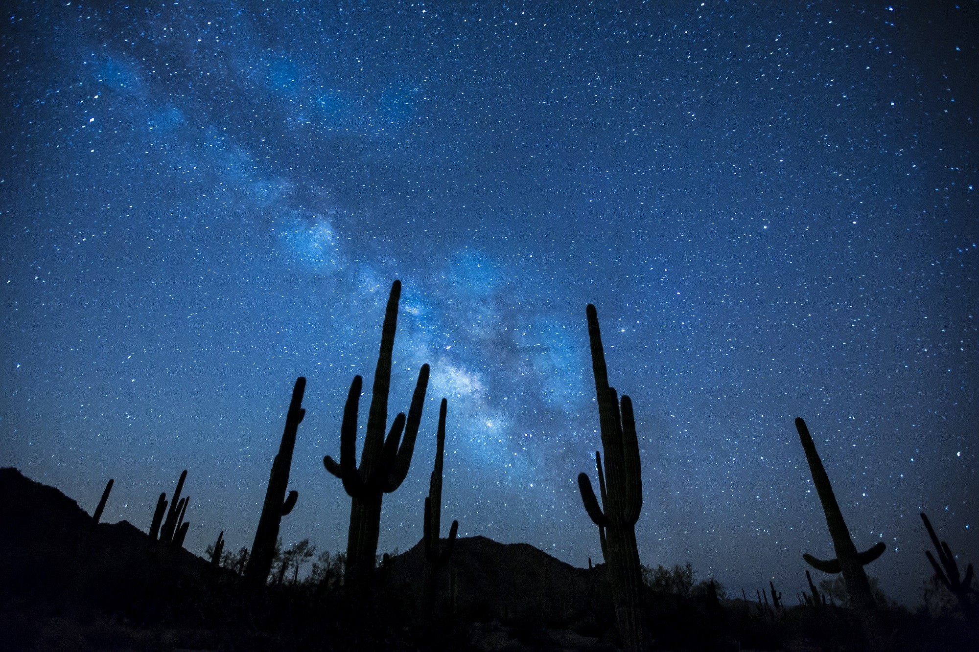 2000x1333 Cactus Plants Under the Starry Sky