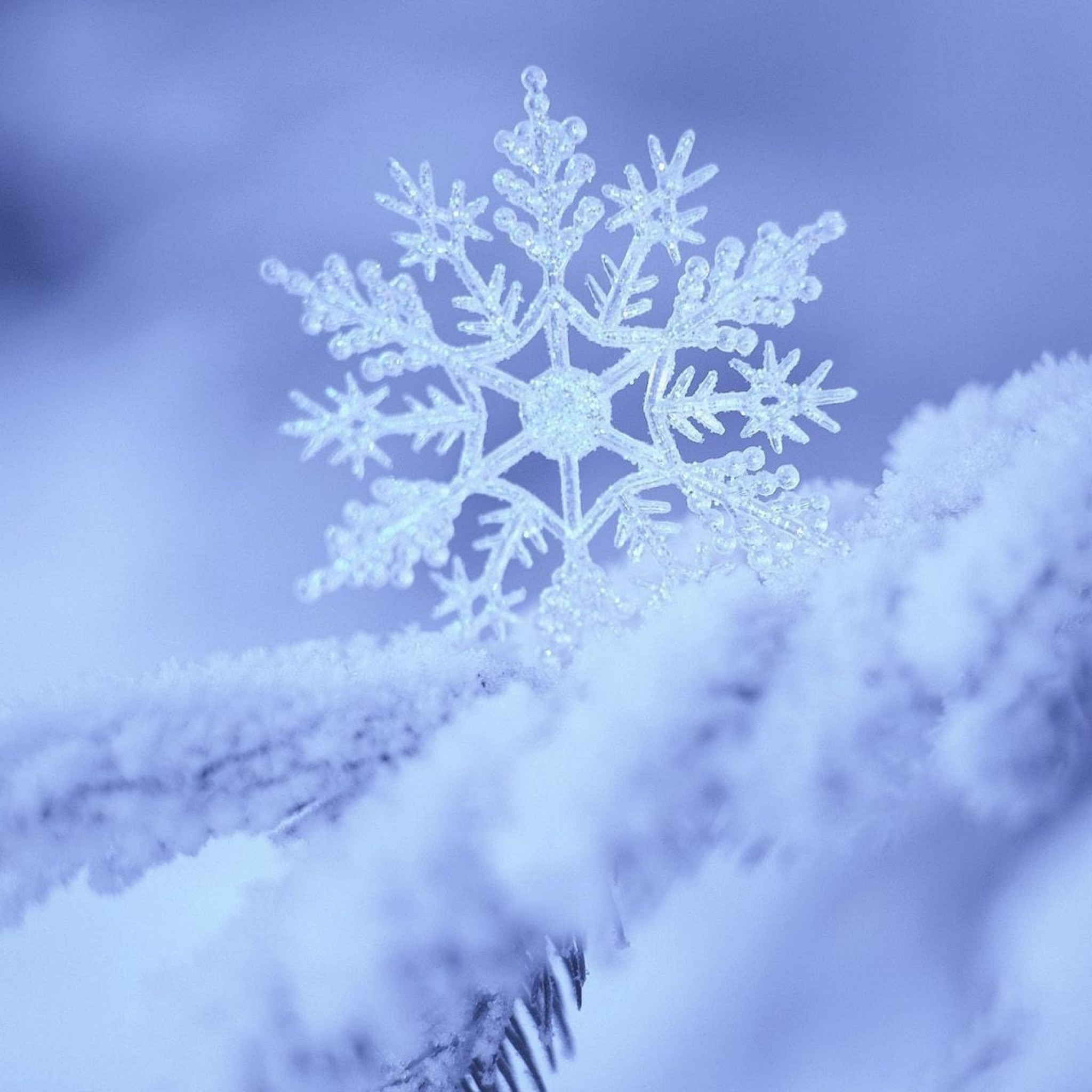 Snowflake Wallpaper HD  PixelsTalkNet