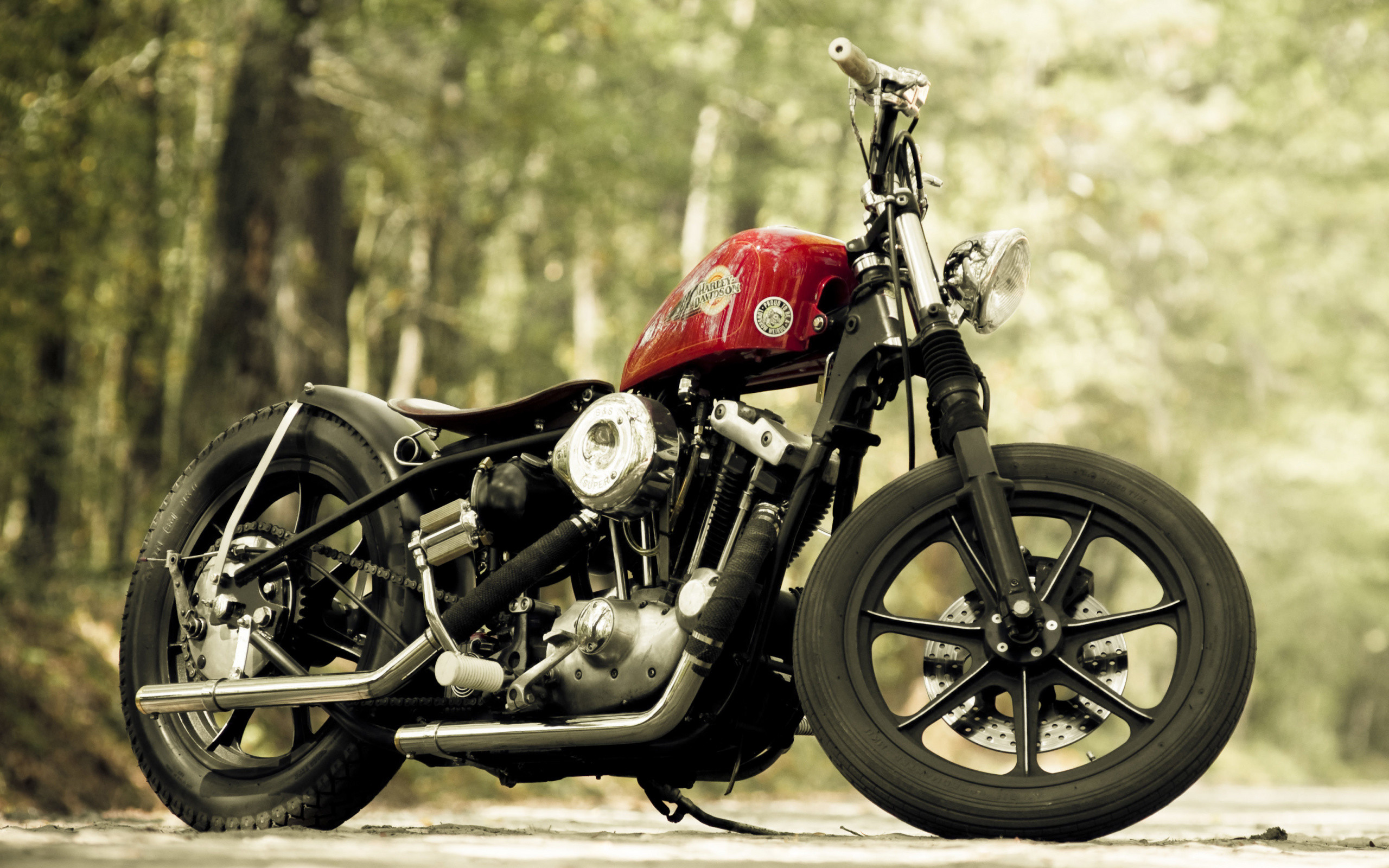 2560x1600  wallpaper custom motorcycle, cruiser, wheel, chopper, bobber