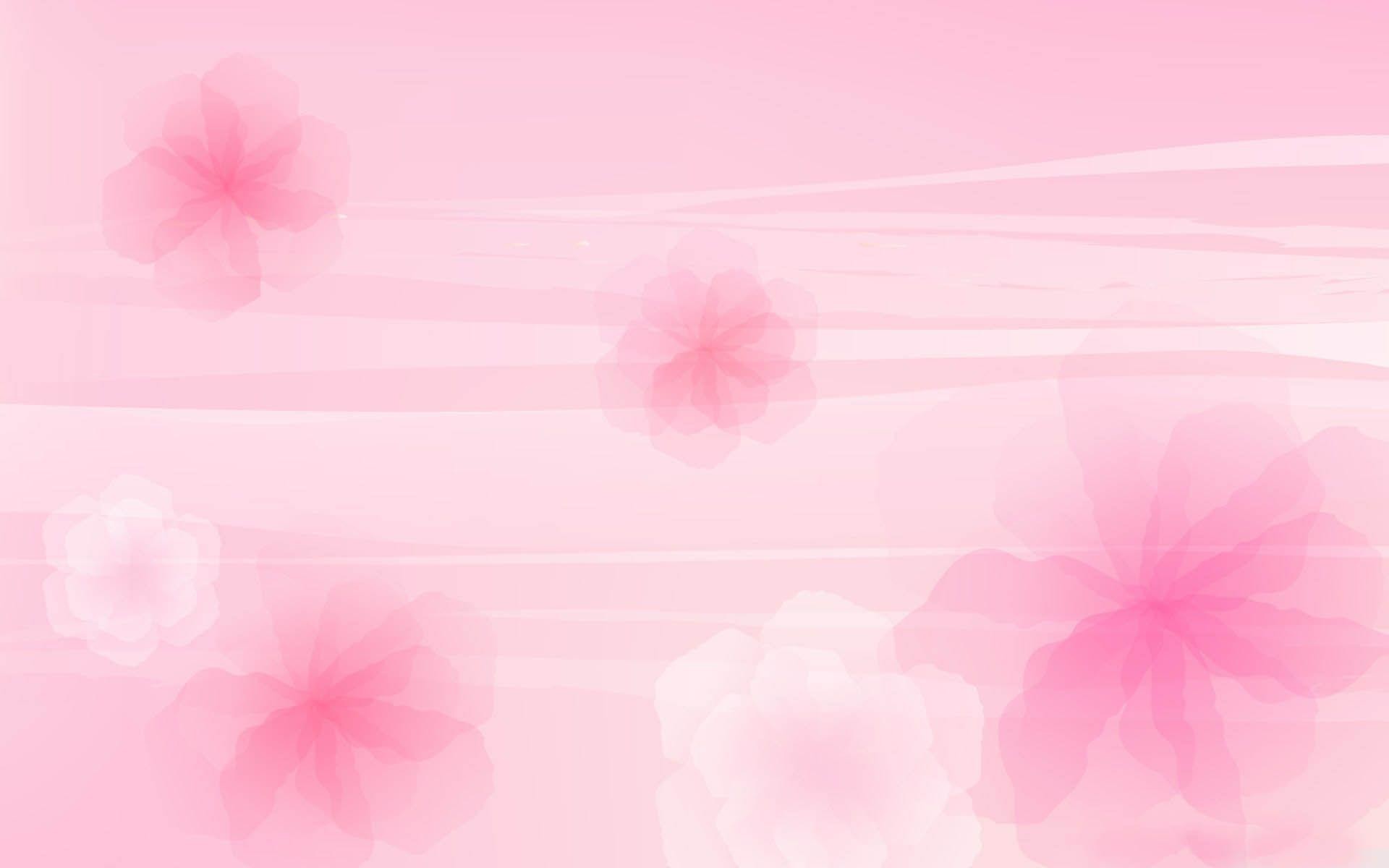 1920x1200 light pink flower wallpaper
