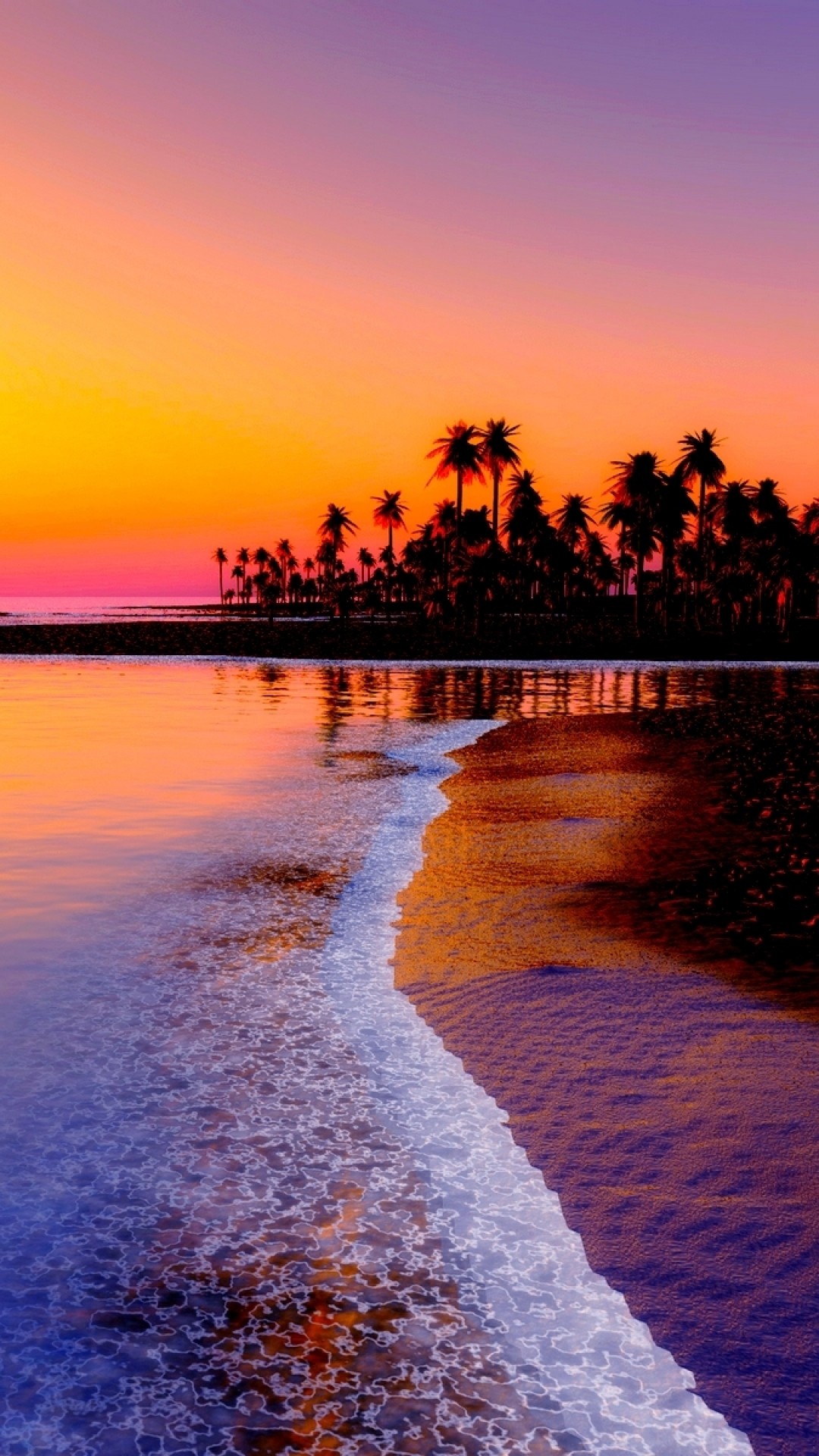 1080x1920 Preview wallpaper beach, tropics, sea, sand, palm trees, sunset 