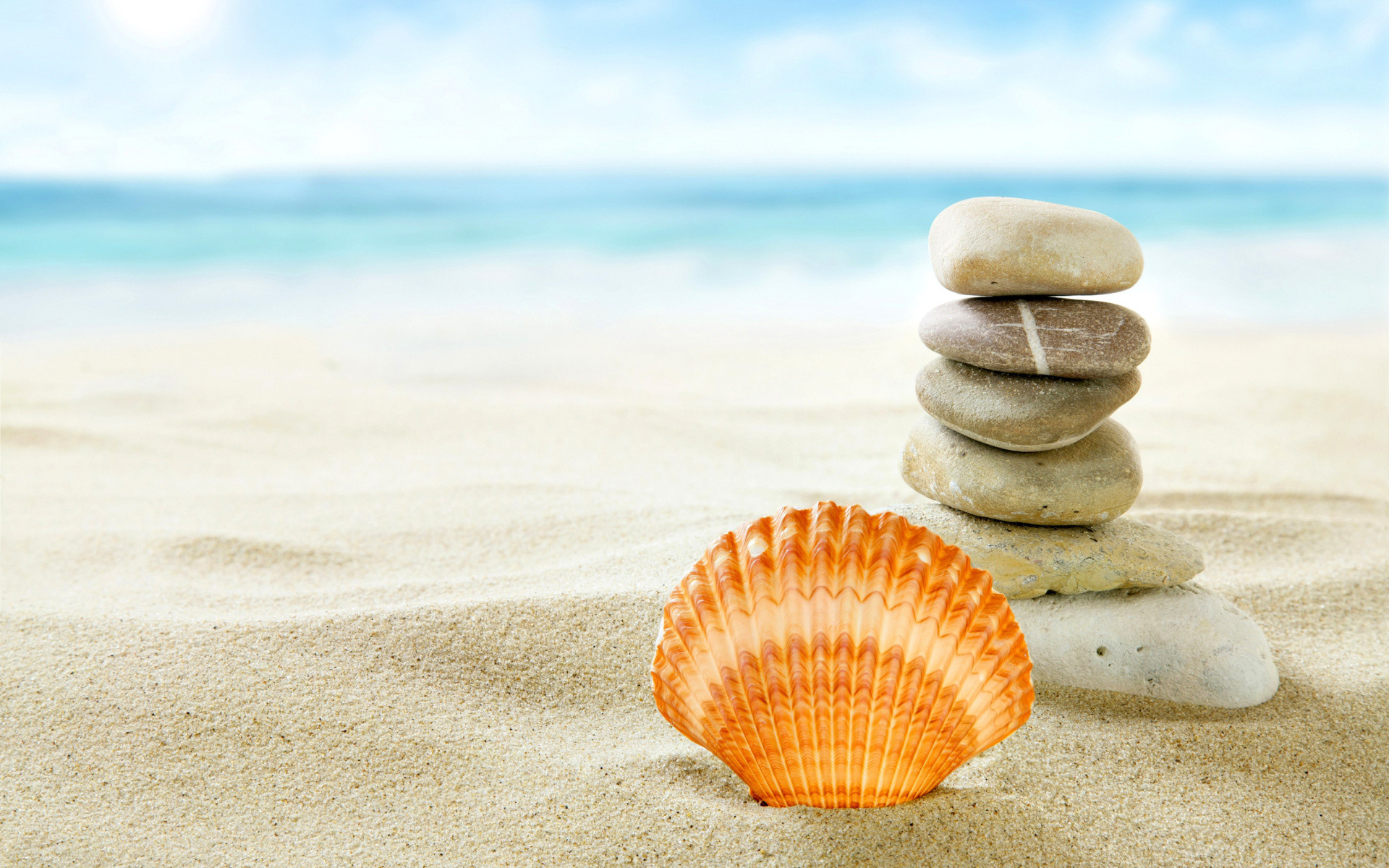 1920x1200 Seashell Wallpaper - Wallpapers Browse
