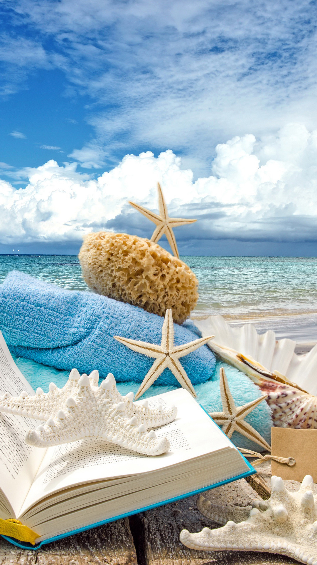 1080x1920 Summer Beach Book Seashells Sea Stars iPhone 6 Plus HD Wallpaper