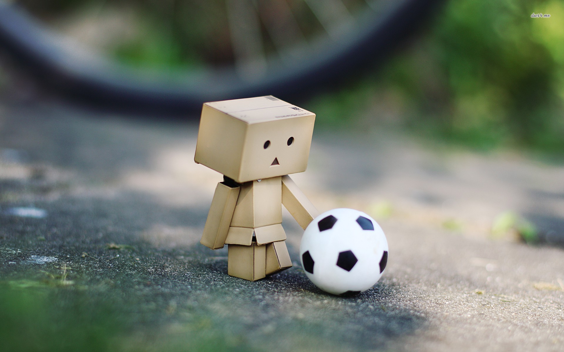 1920x1200 Danbo with a football wallpaper - 967906