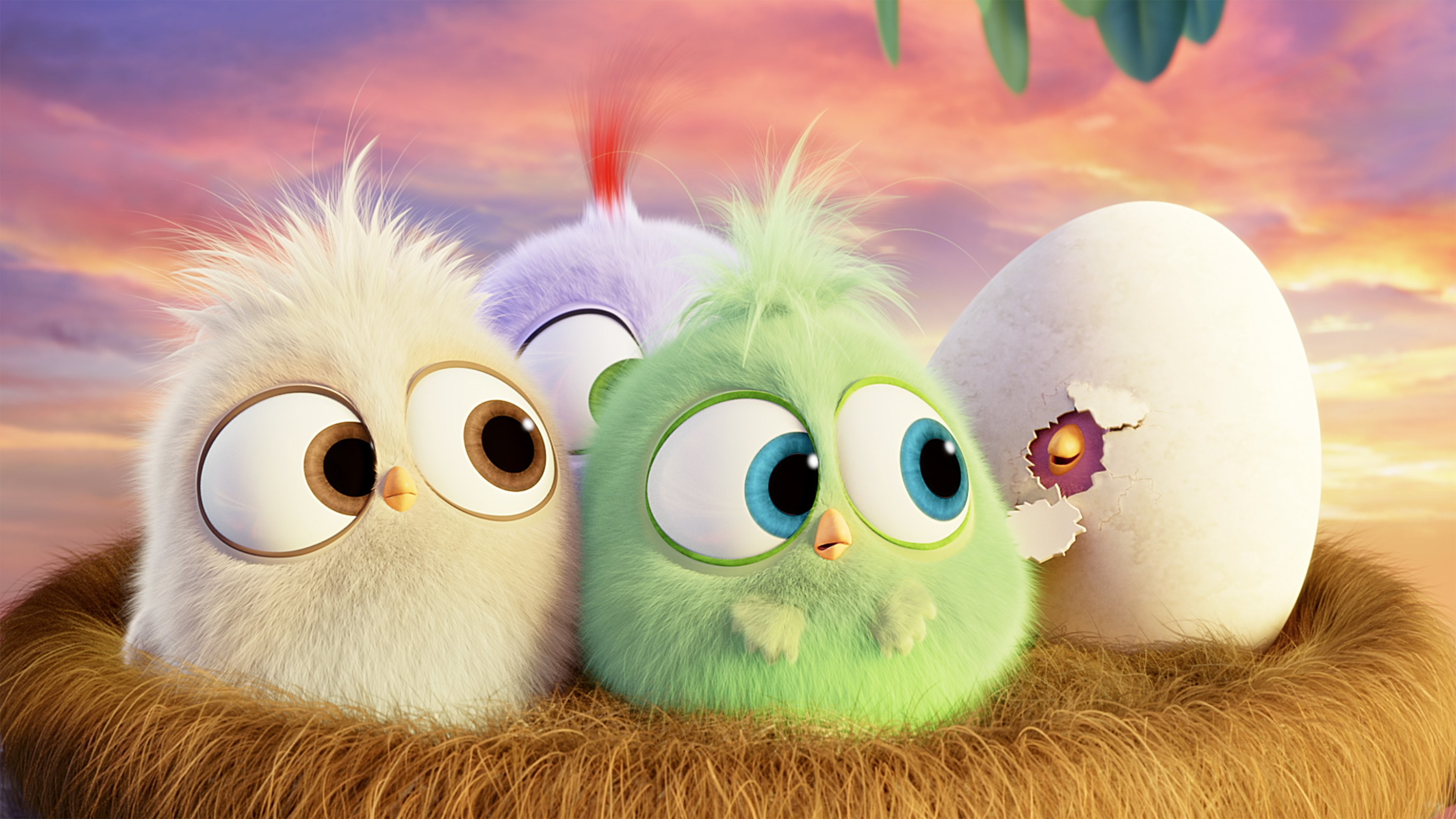 3840x2160 Movie - The Angry Birds Movie Wallpaper